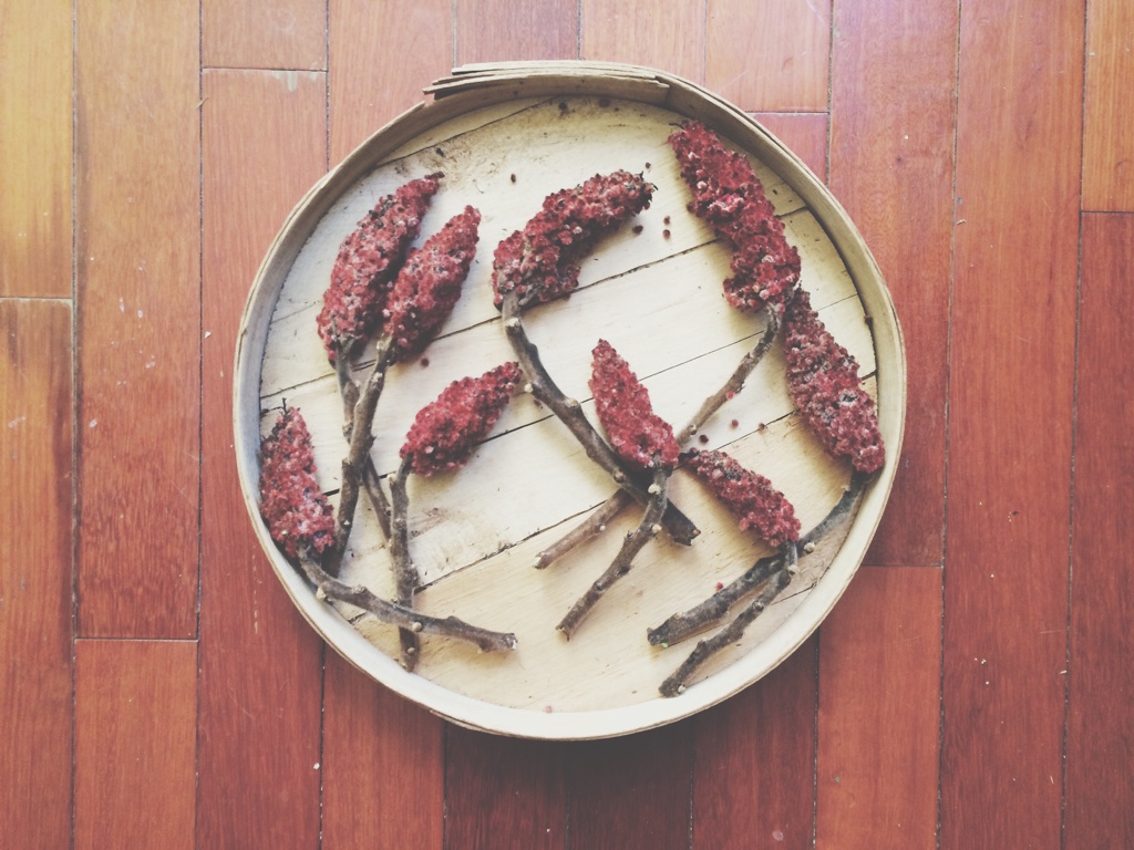 sumac berries