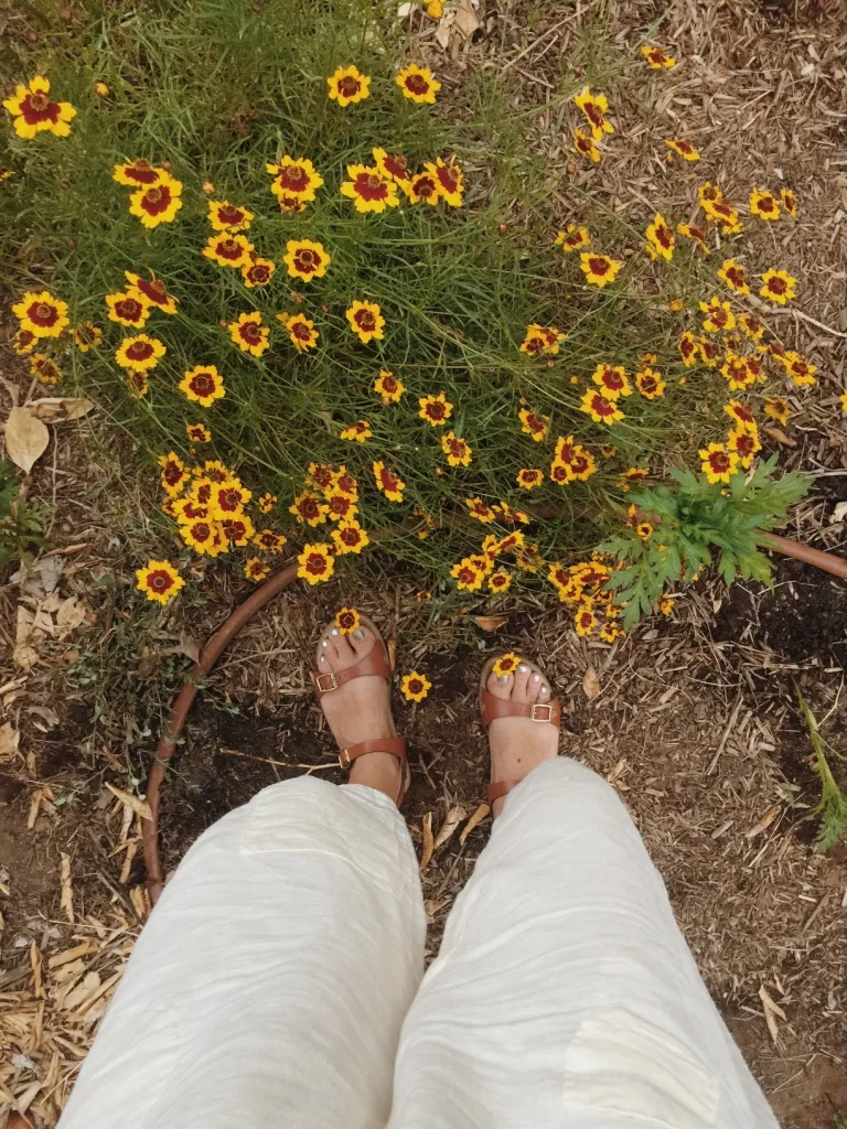 thumb_A20F1163-8CF1-47F0-9F1B-4E1FC4DC02F7_1024.jpg
