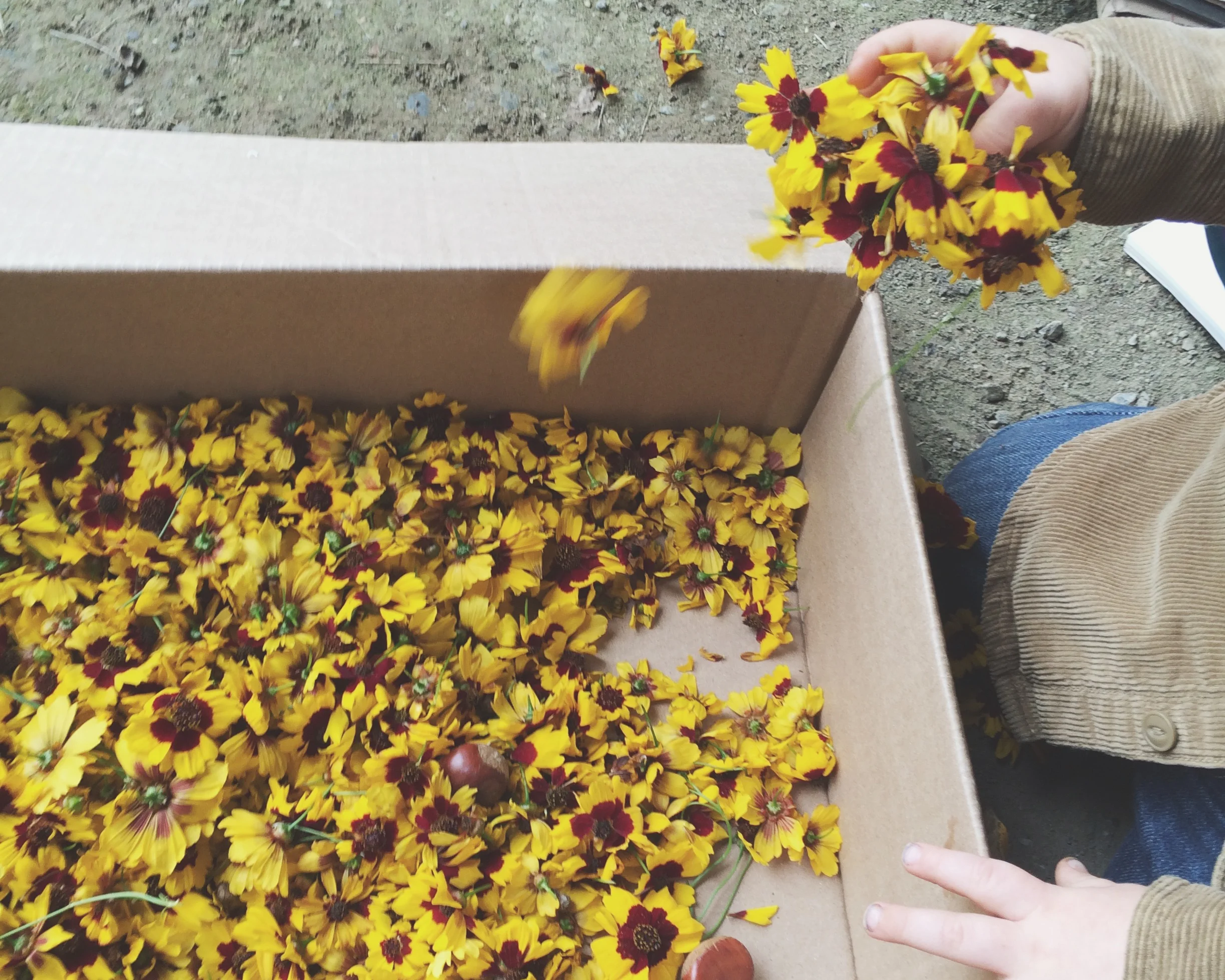 Spring 2016 Workshops