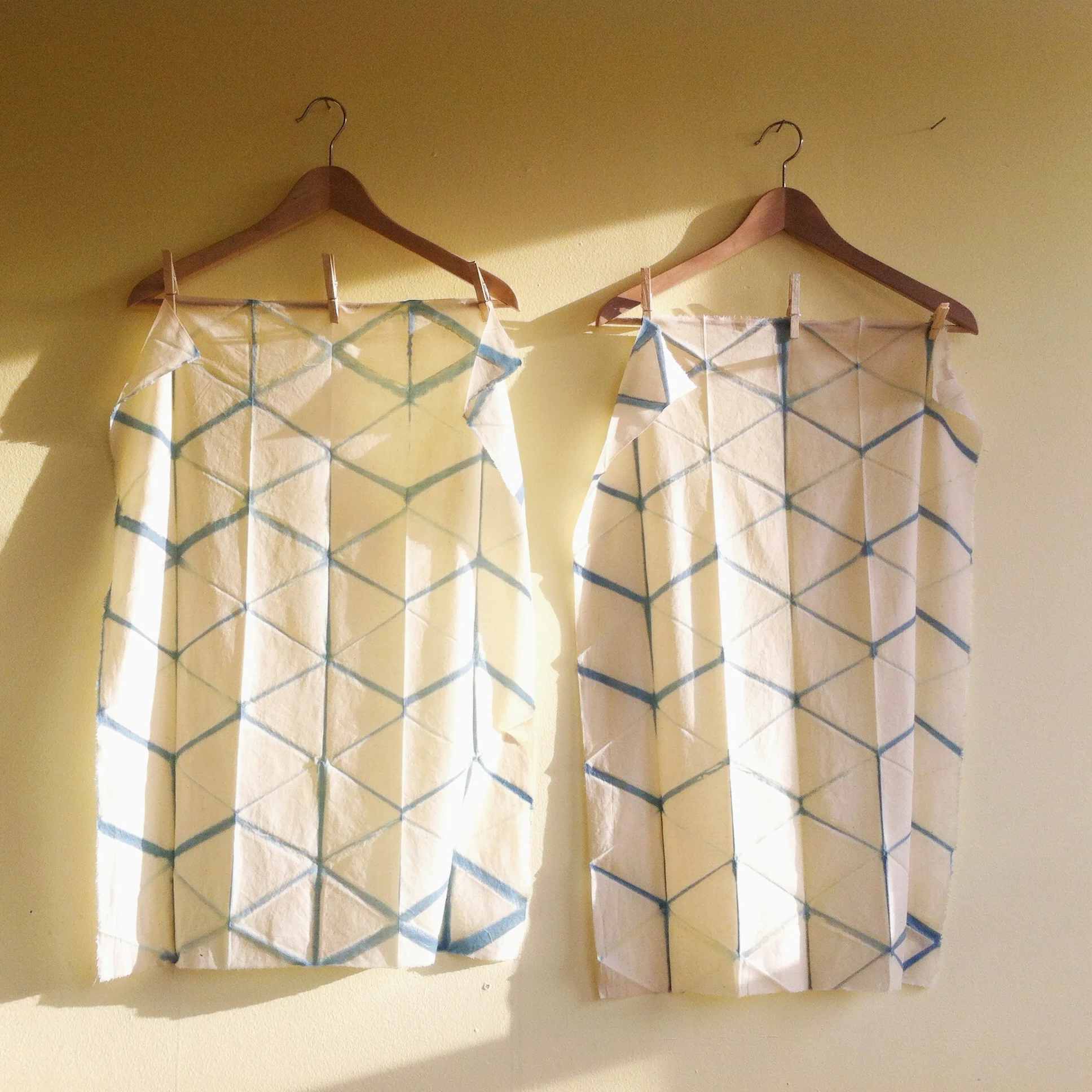 Upcoming Natural Dye Workshops