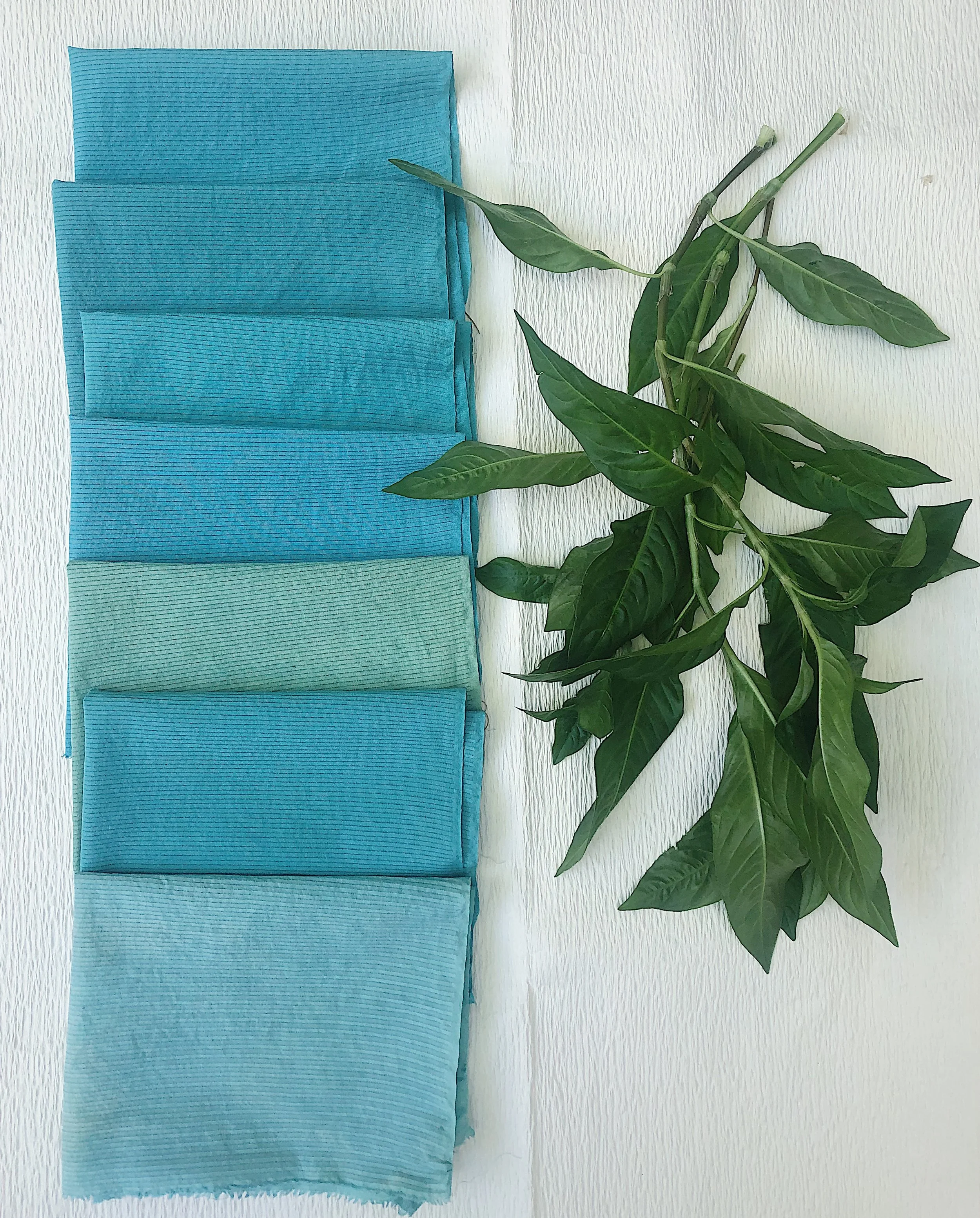 Fresh Leaf Indigo Experiments with John Marshall