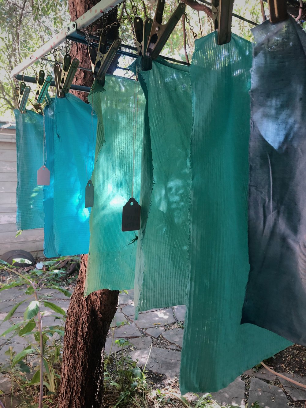  our fresh indigo dyed silks drying 