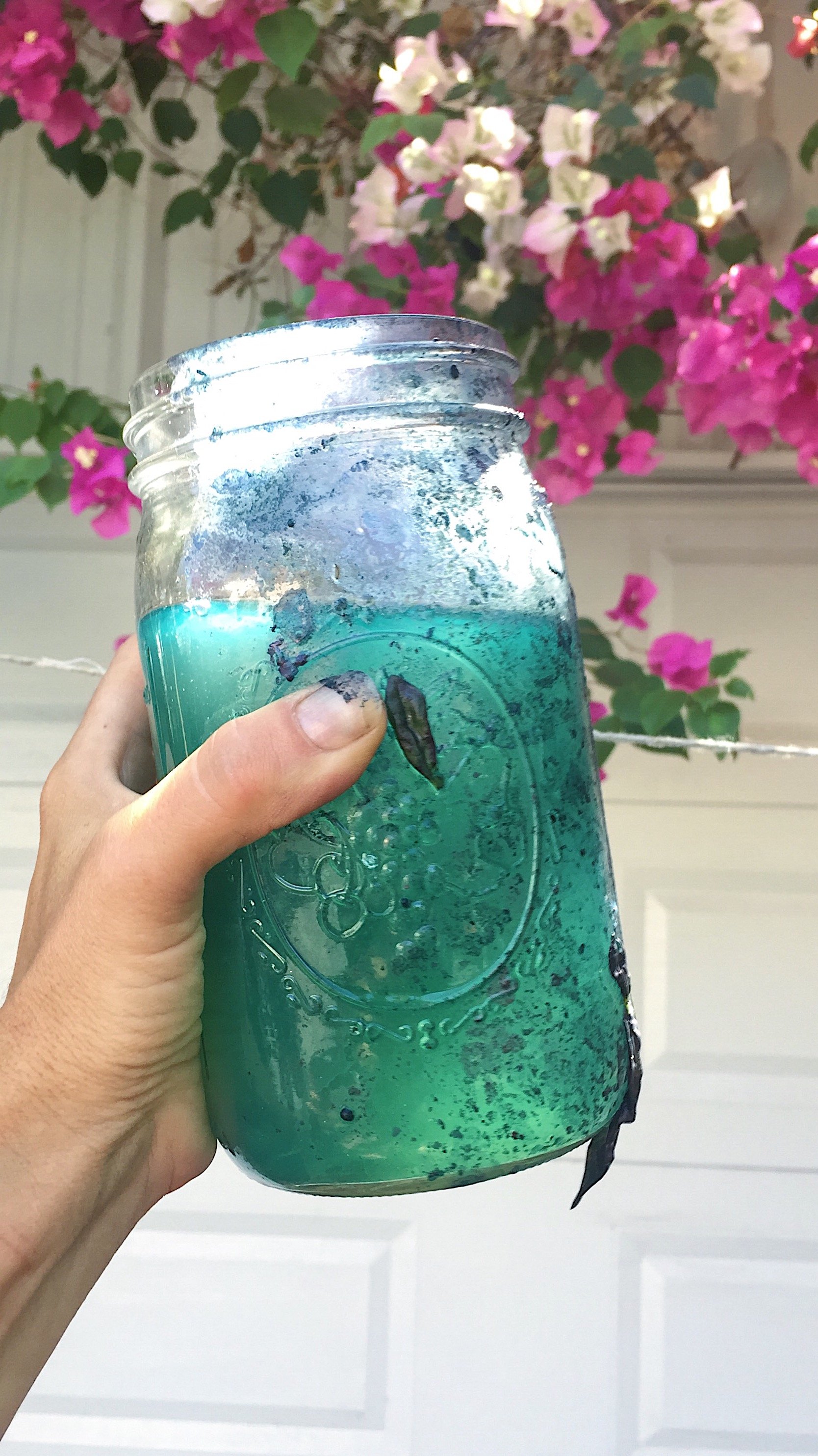 549F6DA0-EEBE-4A34-A41E-821F4250FF13 2.JPG