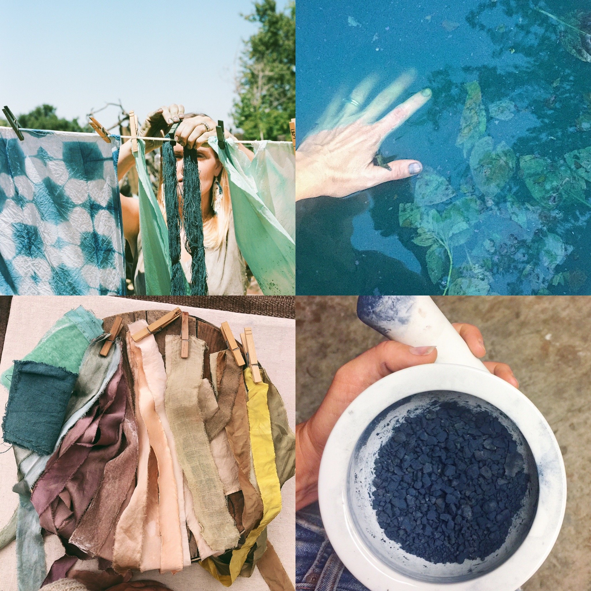 Fresh Indigo + Pigment Extraction Workshop