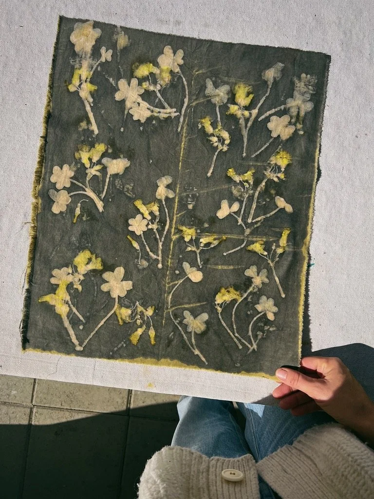 Dyeing, Painting + Discharge Printing with Acidic Plants Tutorial