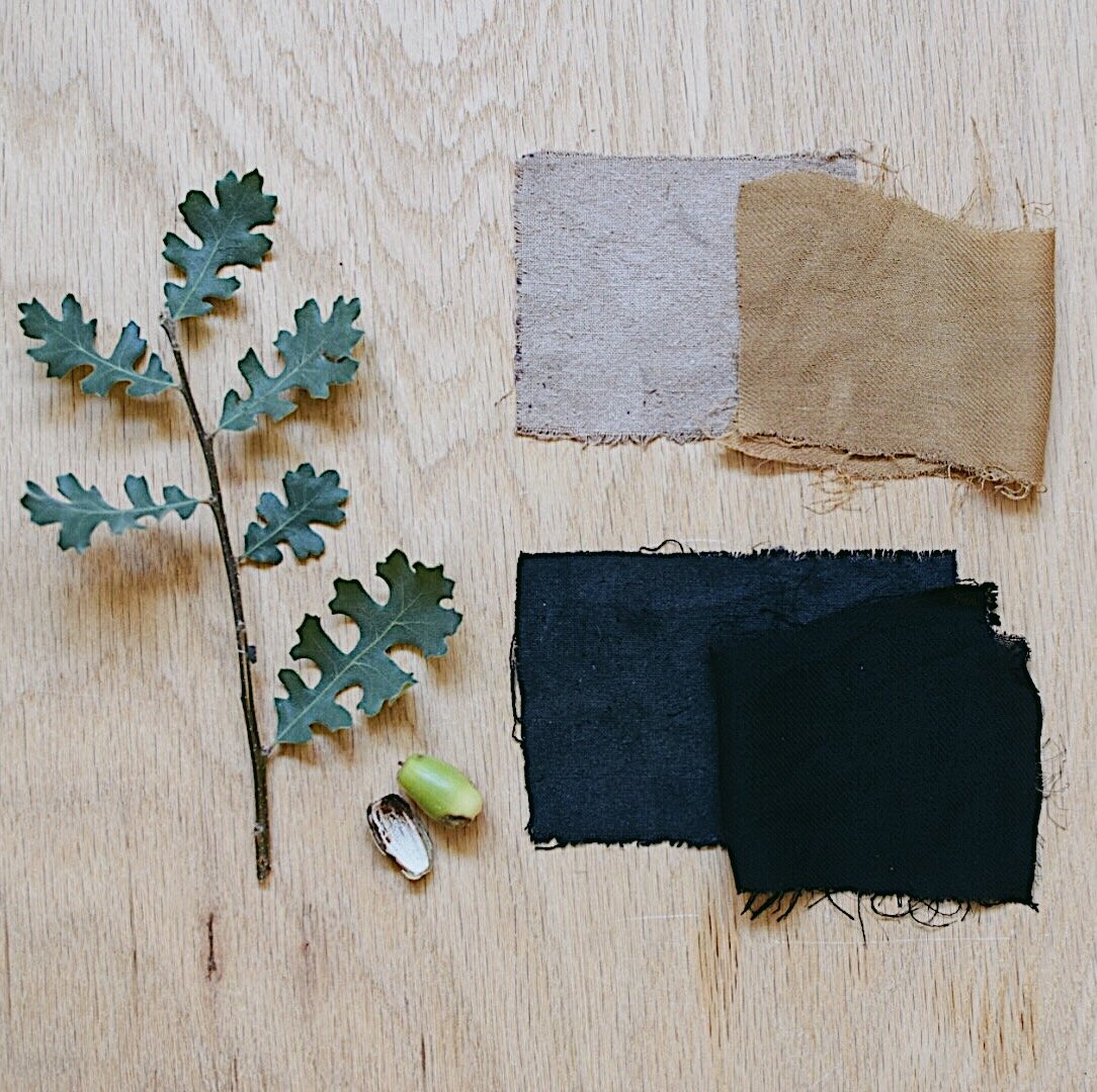 Walnut + iron  How to dye fabric, Natural dye fabric, Botanical dyeing