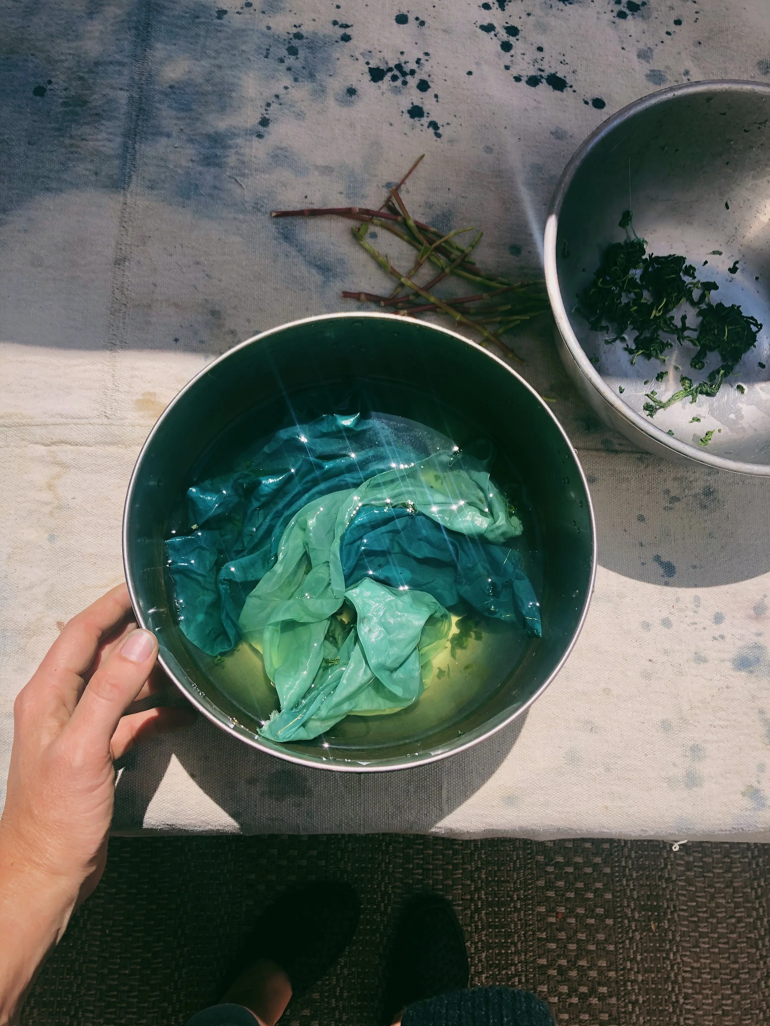 6AE2E929-F91B-46E7-A5BF-C020CC95D10D 2.JPG