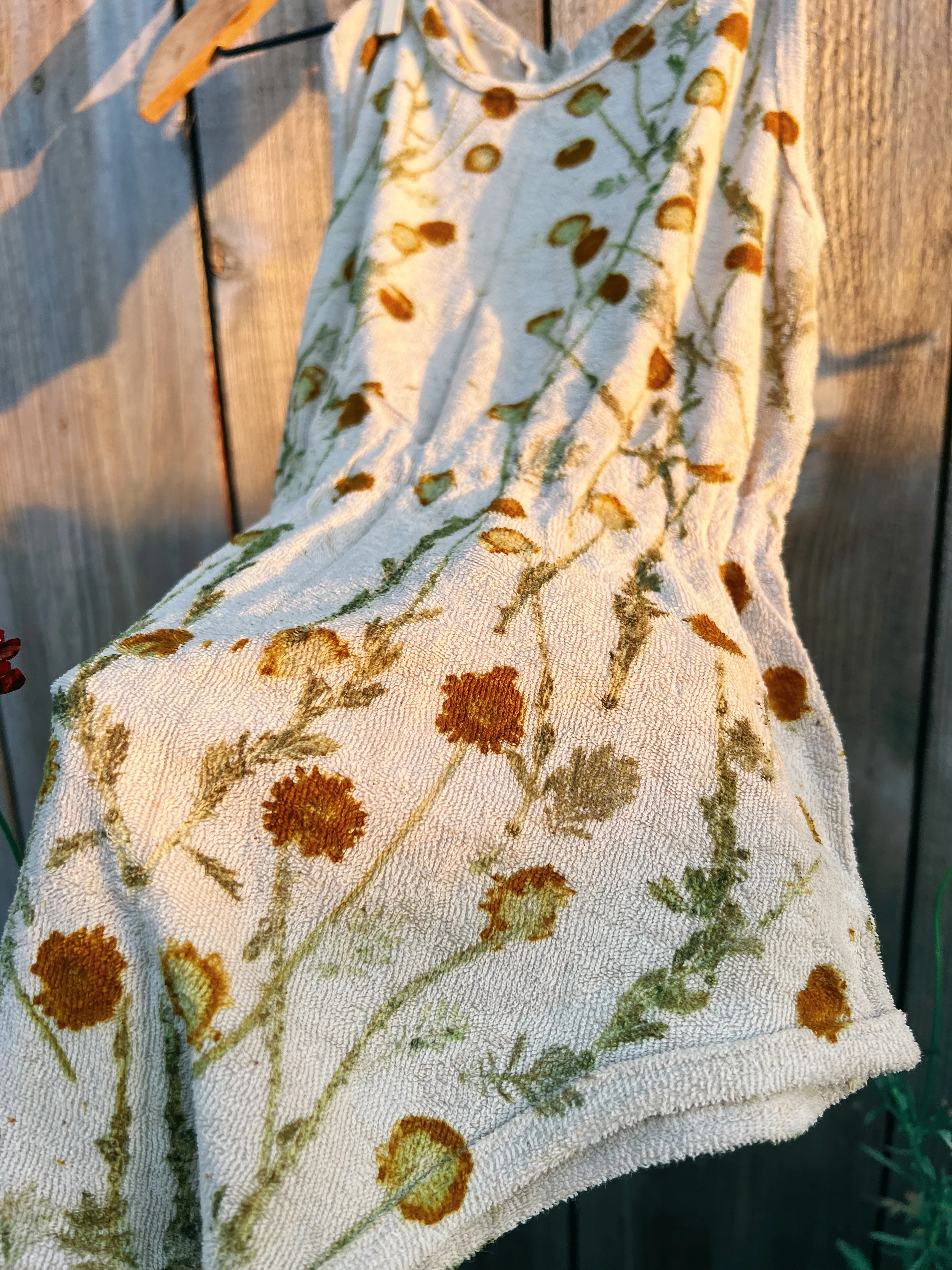 EE807515-C508-4BDA-944B-1691030DEA70 2.JPG