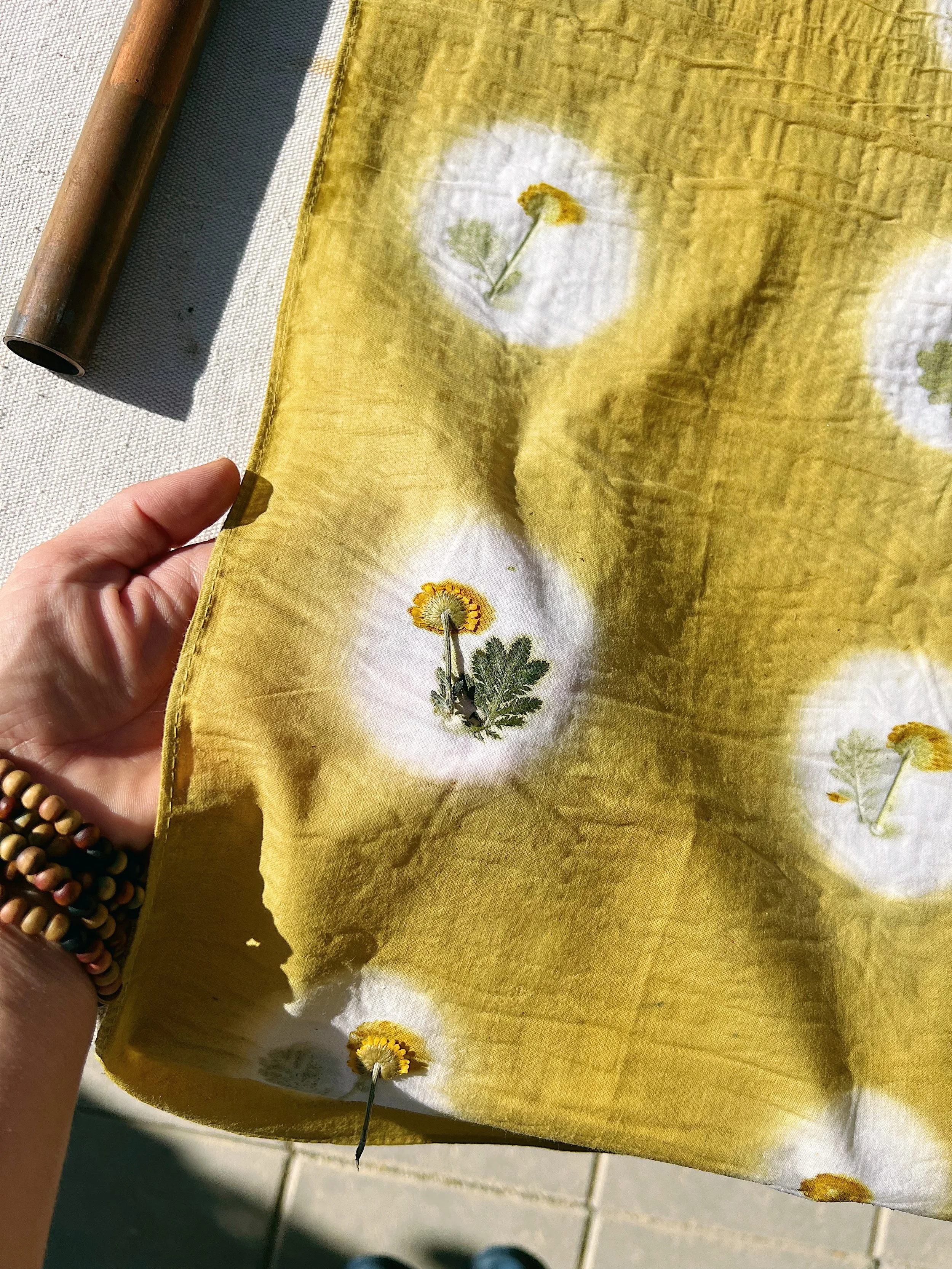 206DB4A1-1B7B-484A-AE41-131DDD0A4E8E 2.JPG