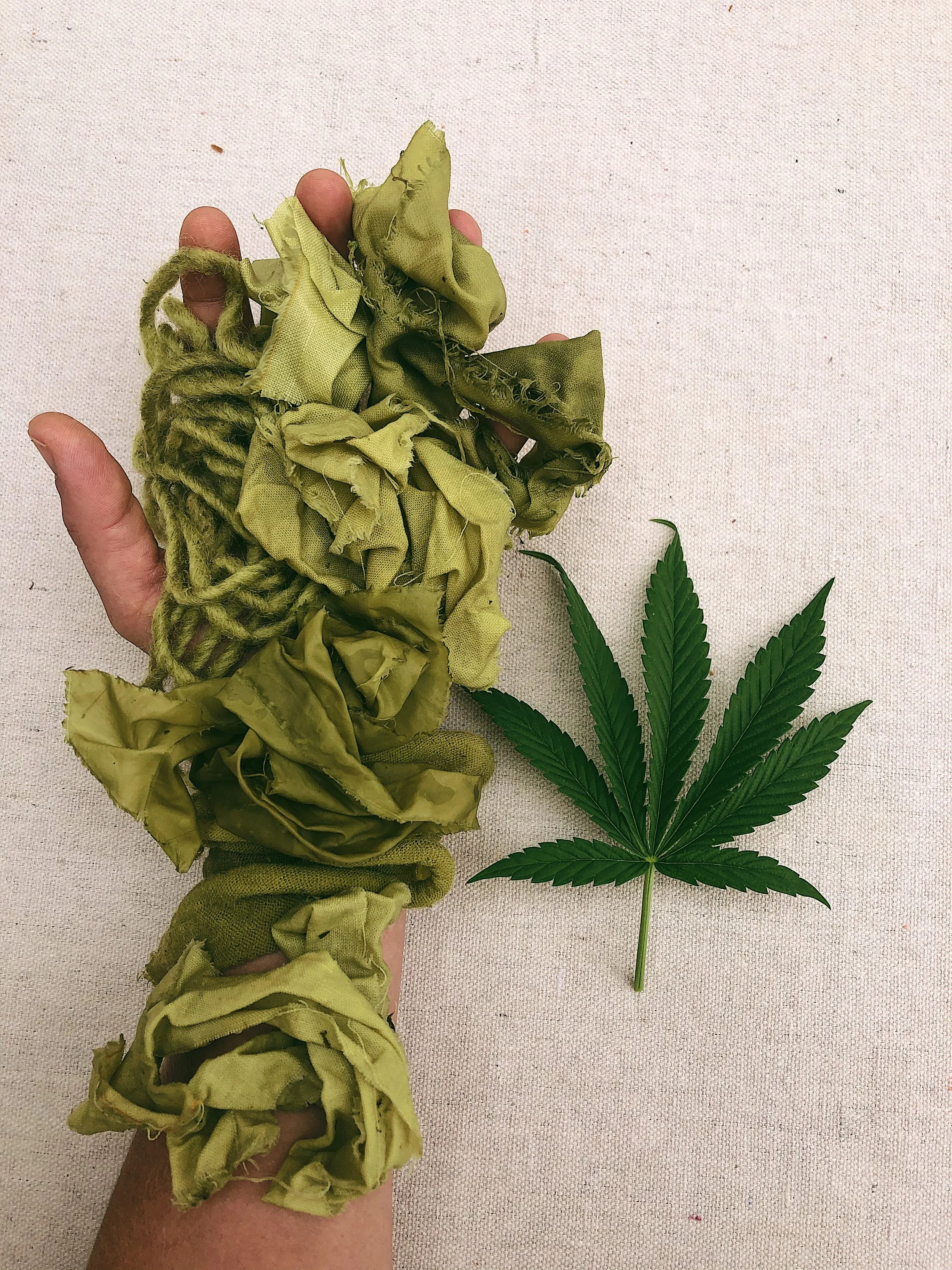 *New* Cannabis & Osage Orange Lesson