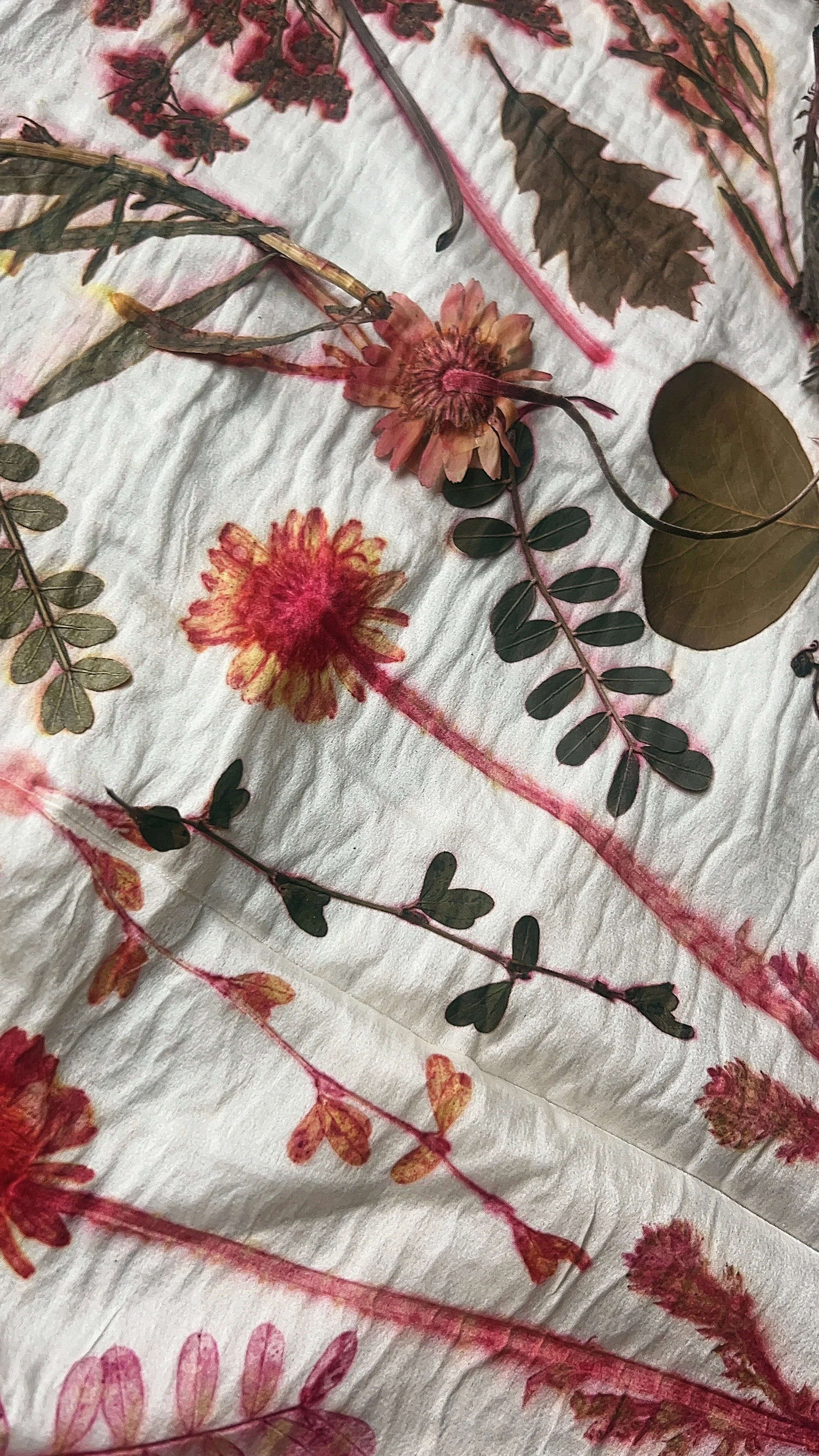 FullSizeRender_VSCO 141.JPG