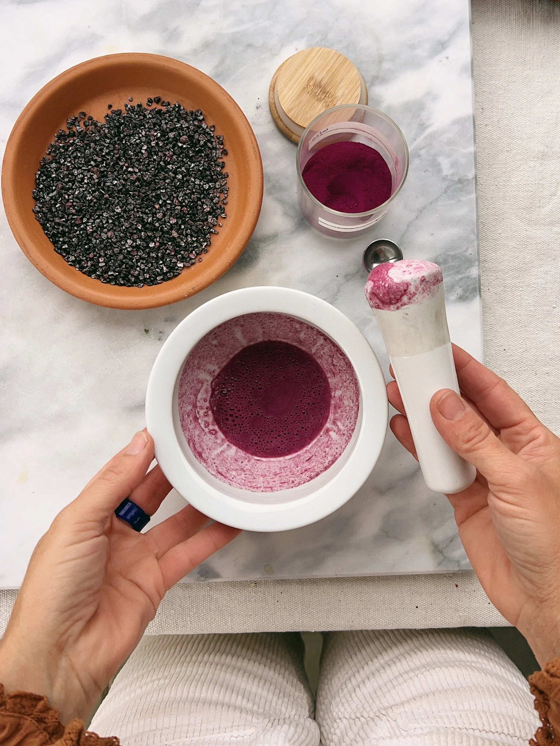 *New* Cochineal Lesson