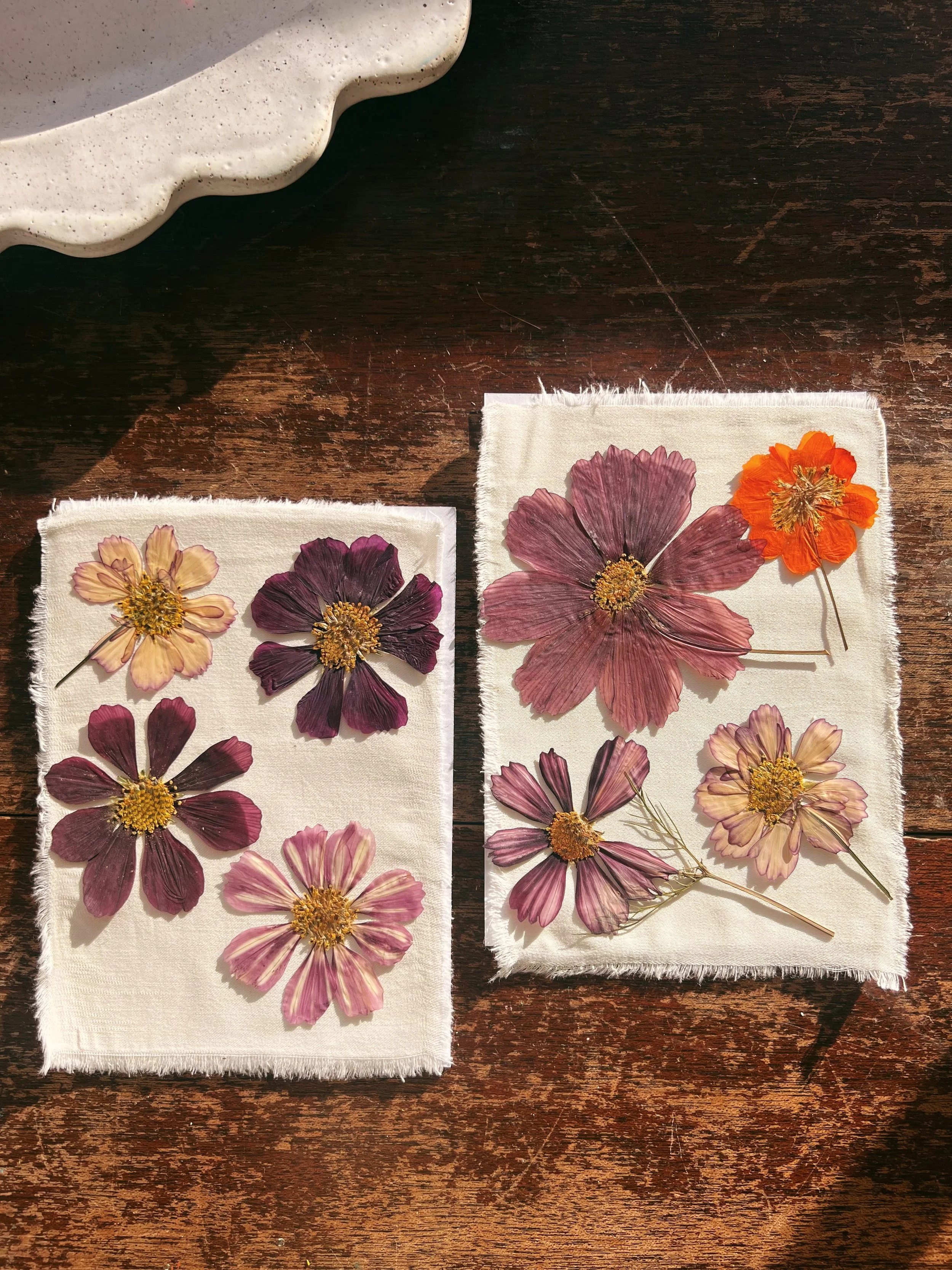 Small Pack- Pressed Dried Cosmos Flowers: 8 flowers