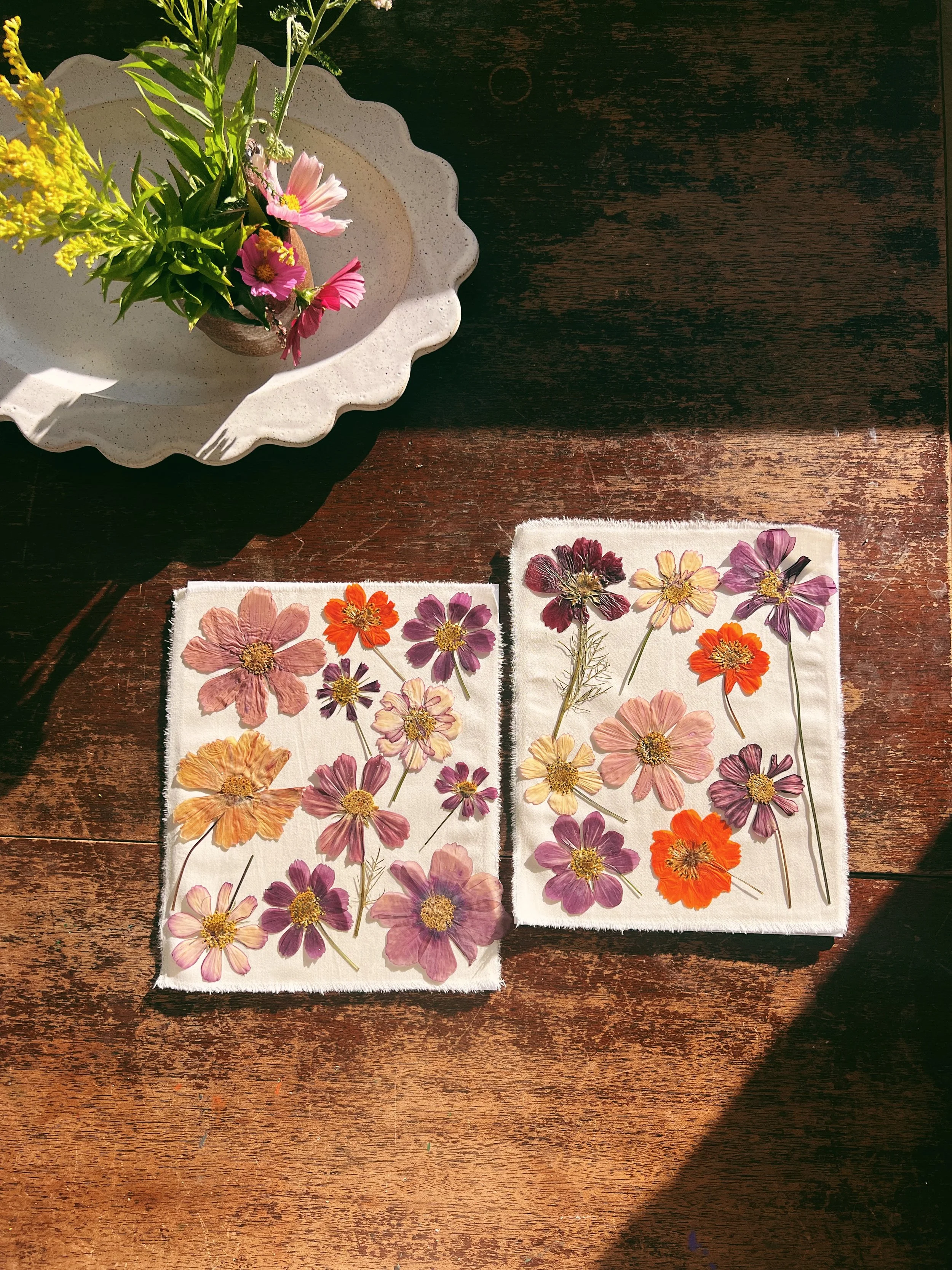 Large Pack- Pressed Dried Cosmos Flowers- 20 flowers