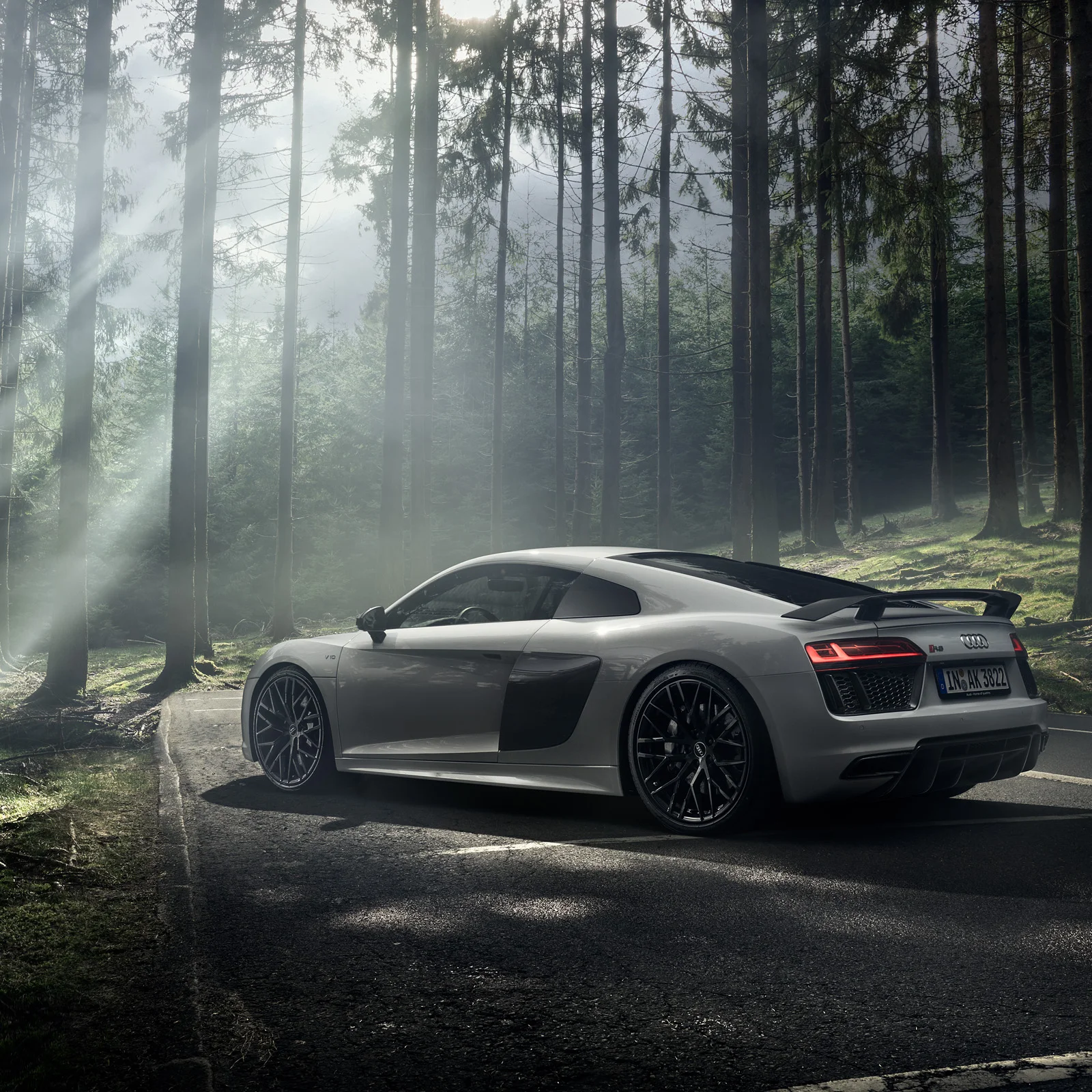 audi_r8_forest_cover.jpg