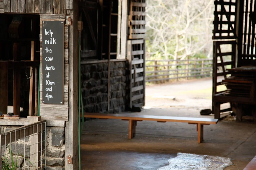 Collingwood Children's Farm
