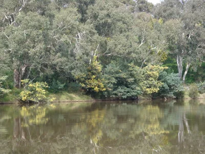 Yarra.jpg