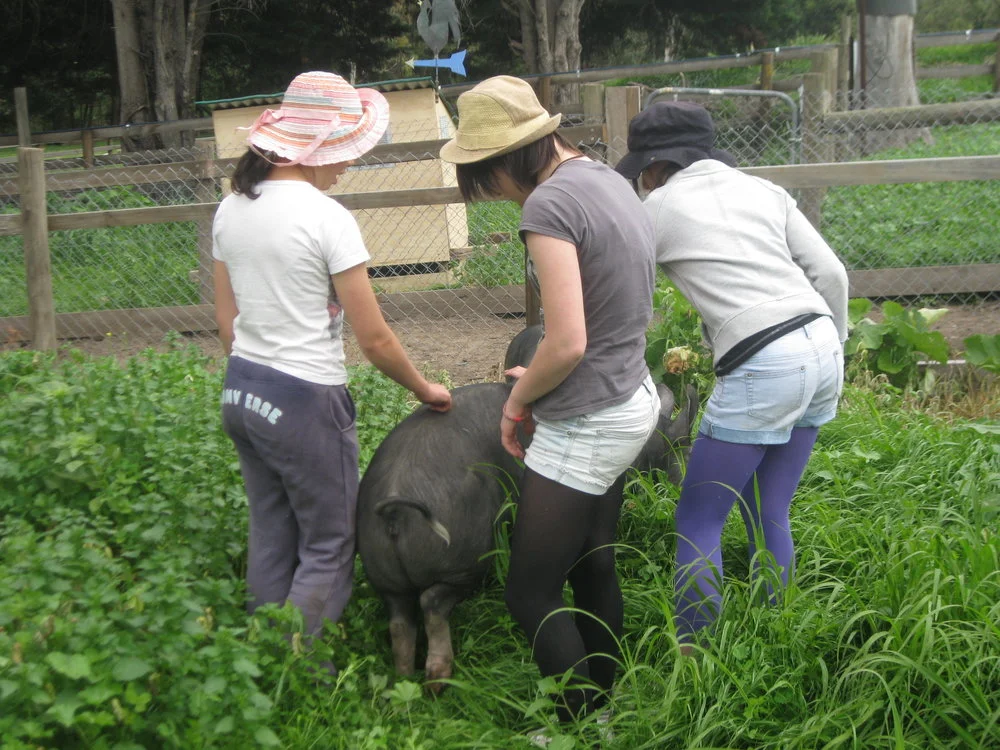 girls with pig.jpg