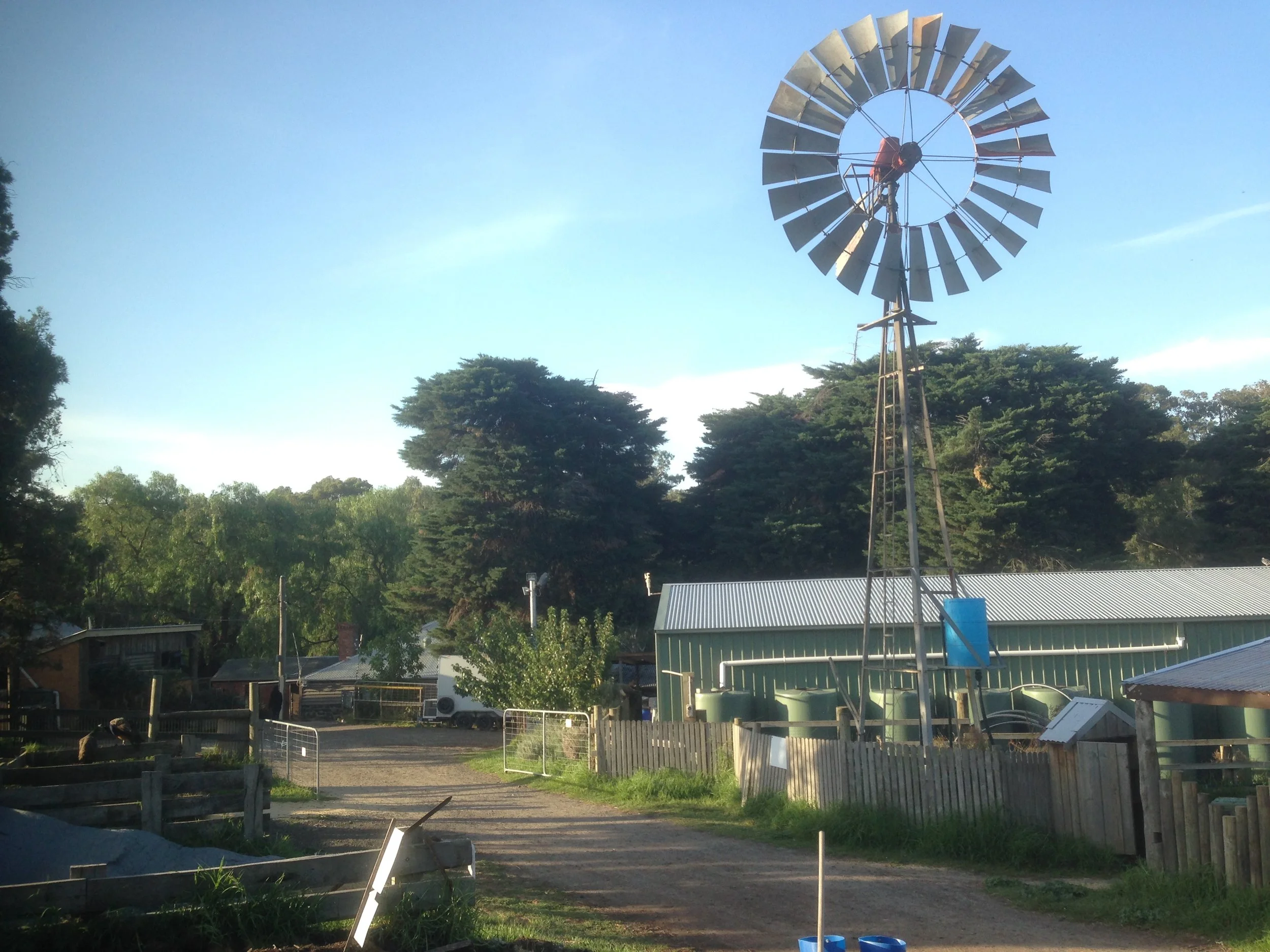 Collingwood Children's Farm
