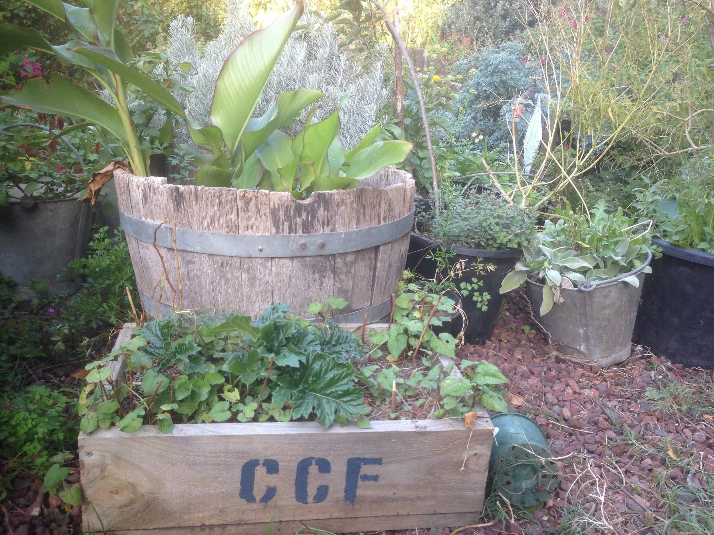 Collingwood Children's Farm