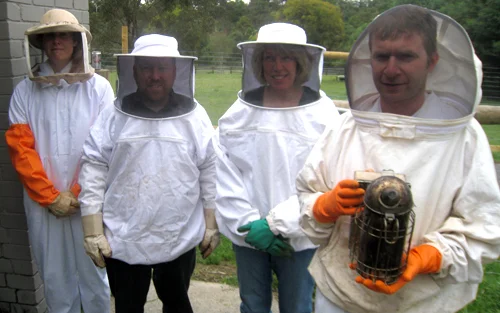 Bee1.jpg