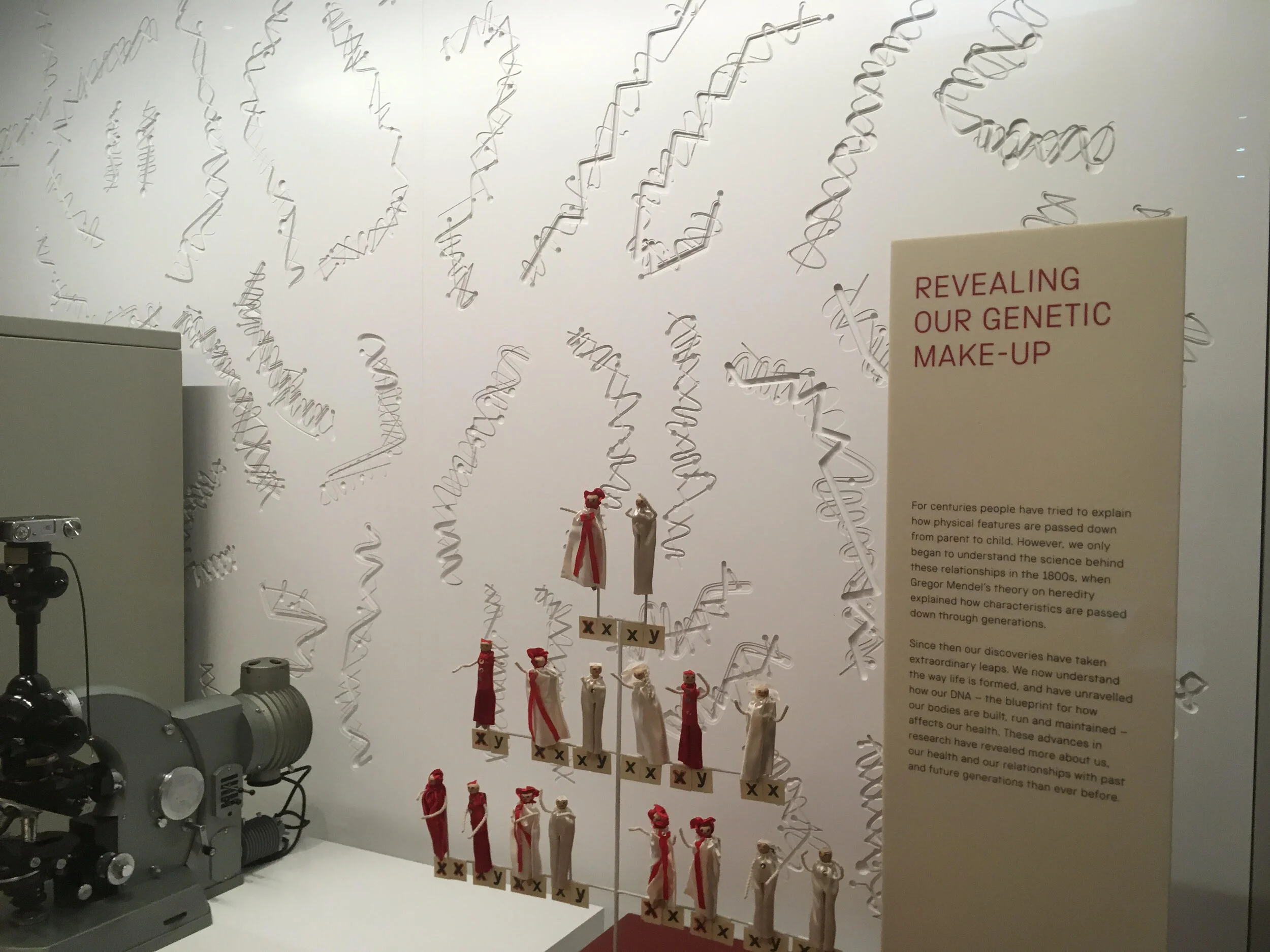 Medicine: The Wellcome Galleries, Science Museum (Copy)