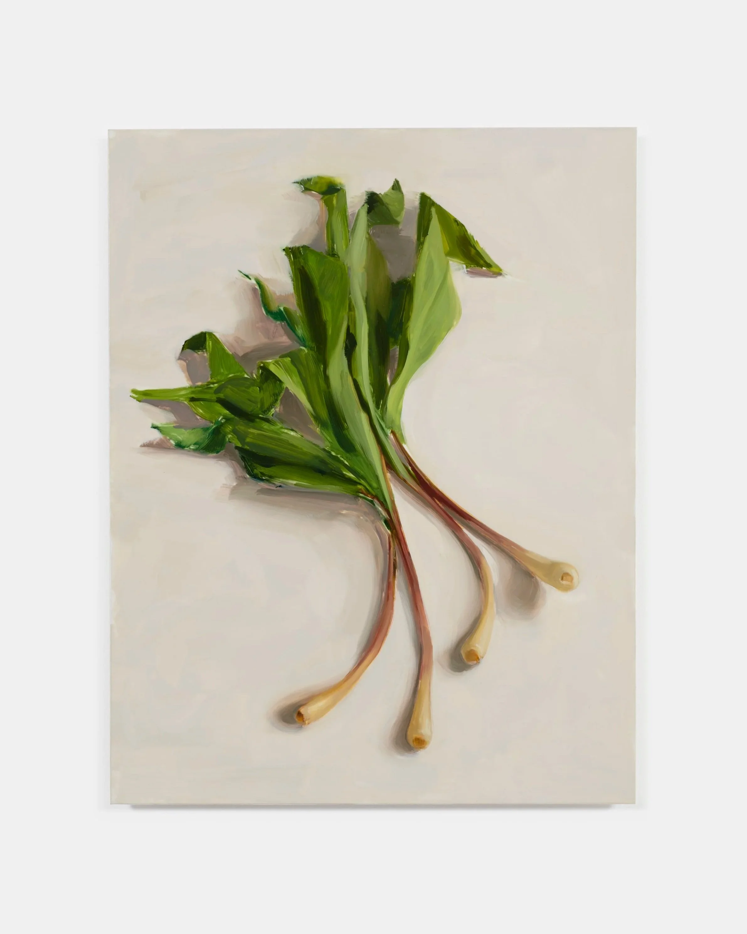 Carrie Mae Smith Ramps, foraged 2025 Oil on mylar mounted to panel 18h X 14w inches