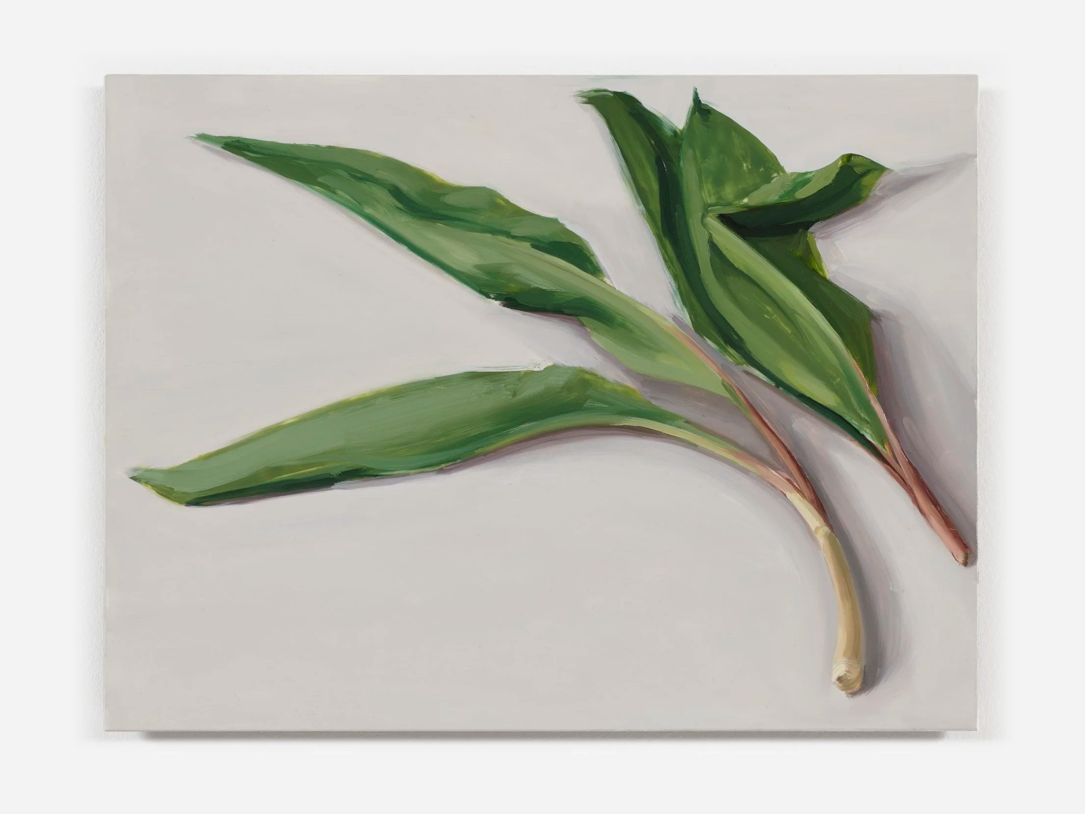  Carrie Mae Smith Foraged Wild Ramps 2026 Oil on mylar mounted to panel 9h X 12w inches 