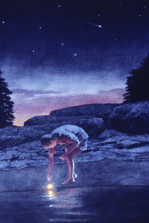 Fallen Star