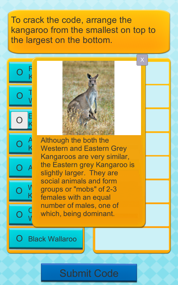Kangaroo Puzzle Additional Info.png