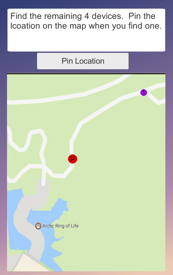 Pin the Location Example.png
