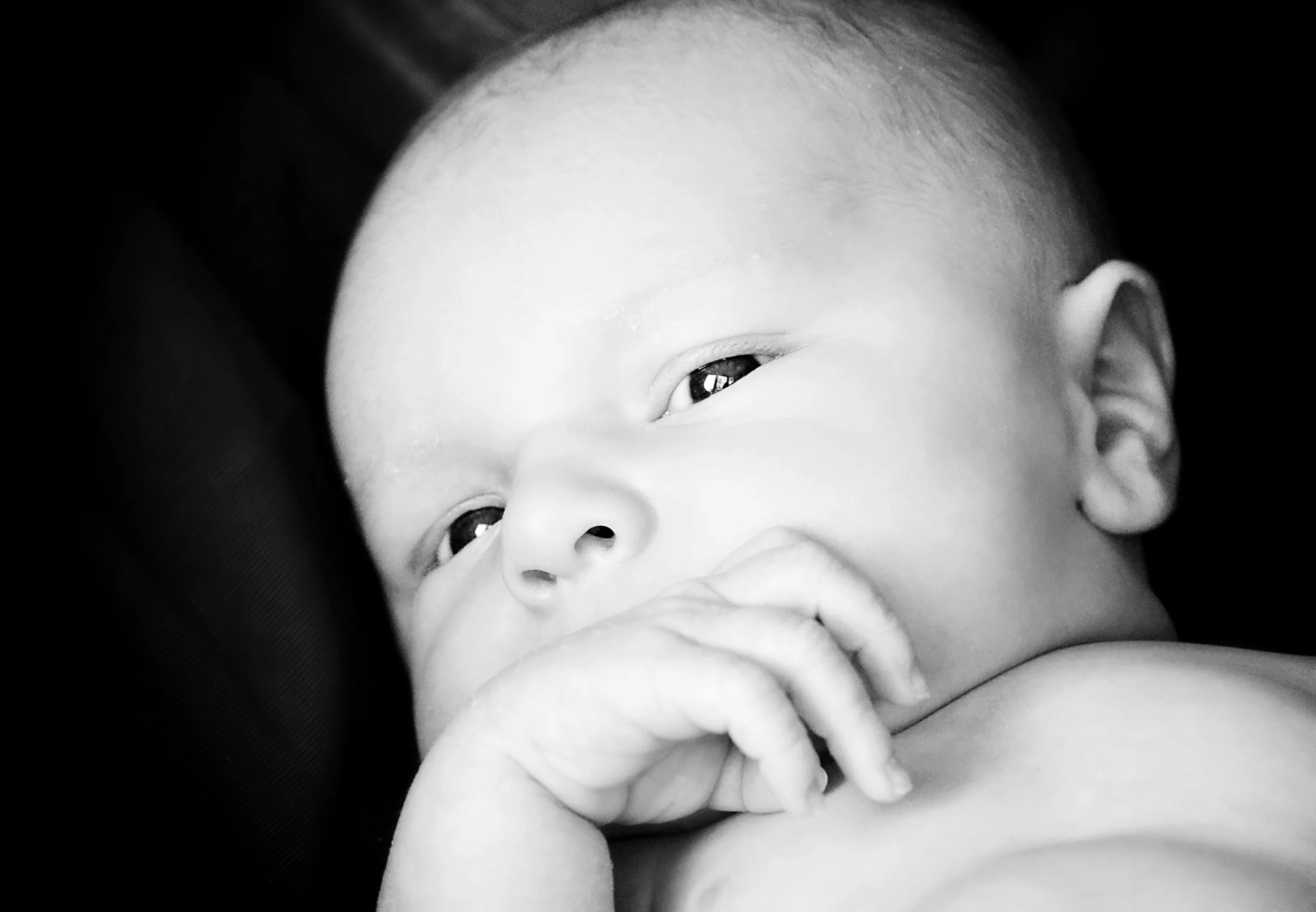 Introducing Baby J...