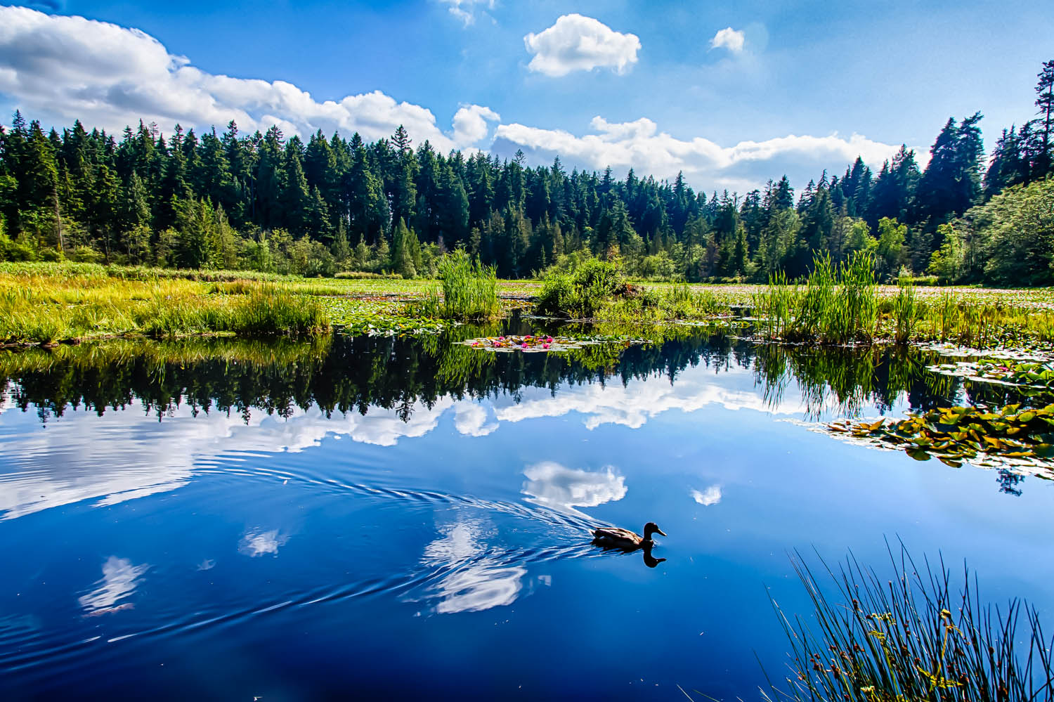 untitled-48-2_HDR.jpg