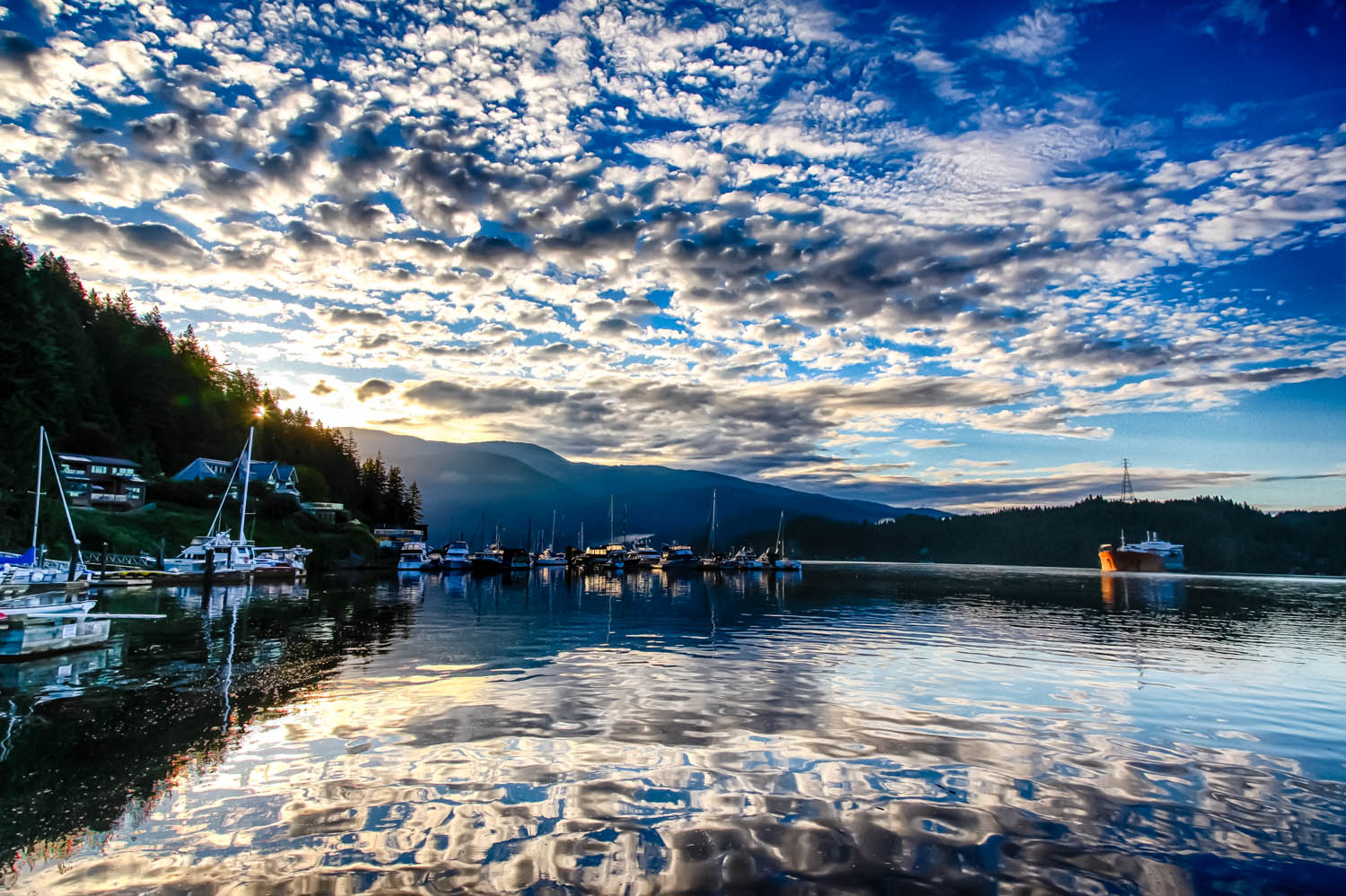 untitled-216_HDR.jpg