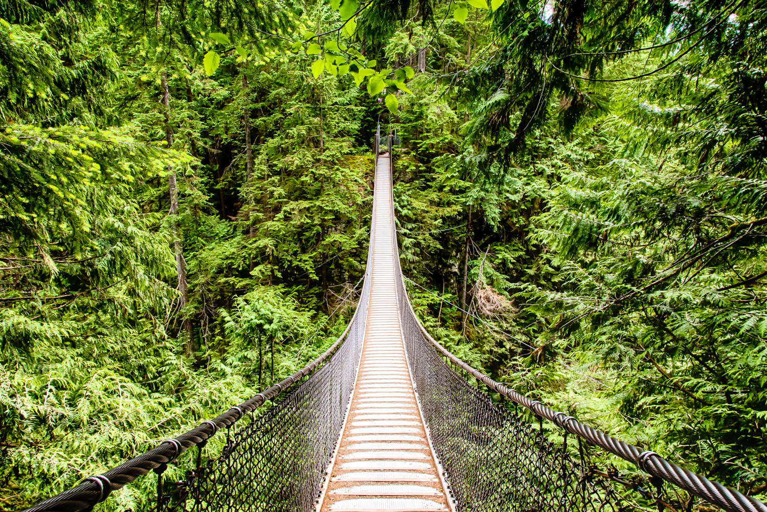 untitled-145_HDR.jpg