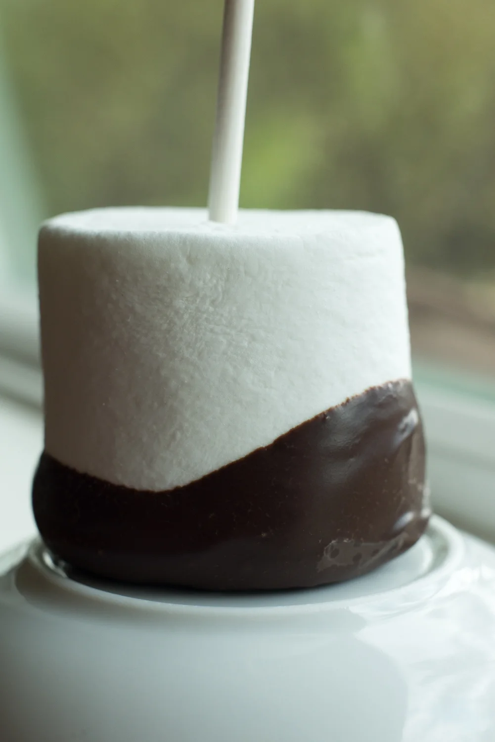chocolate-dipped-marshmallow.jpg