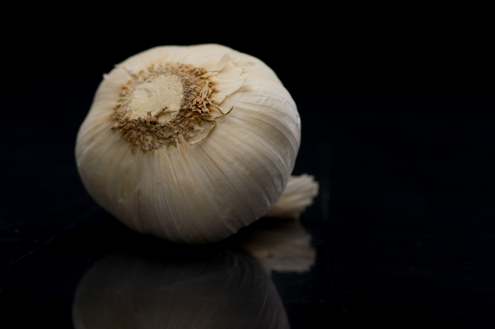 garlic-bulb.jpg