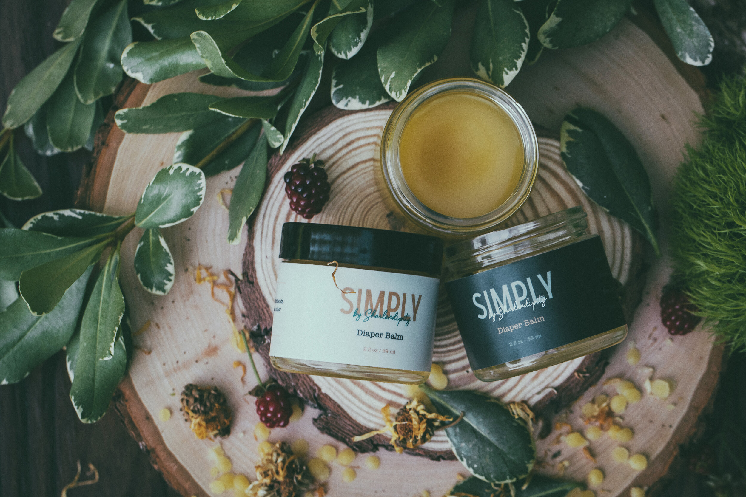 C02D2C2E-F7F8-4B7F-8273-40C0C7FD1B2A