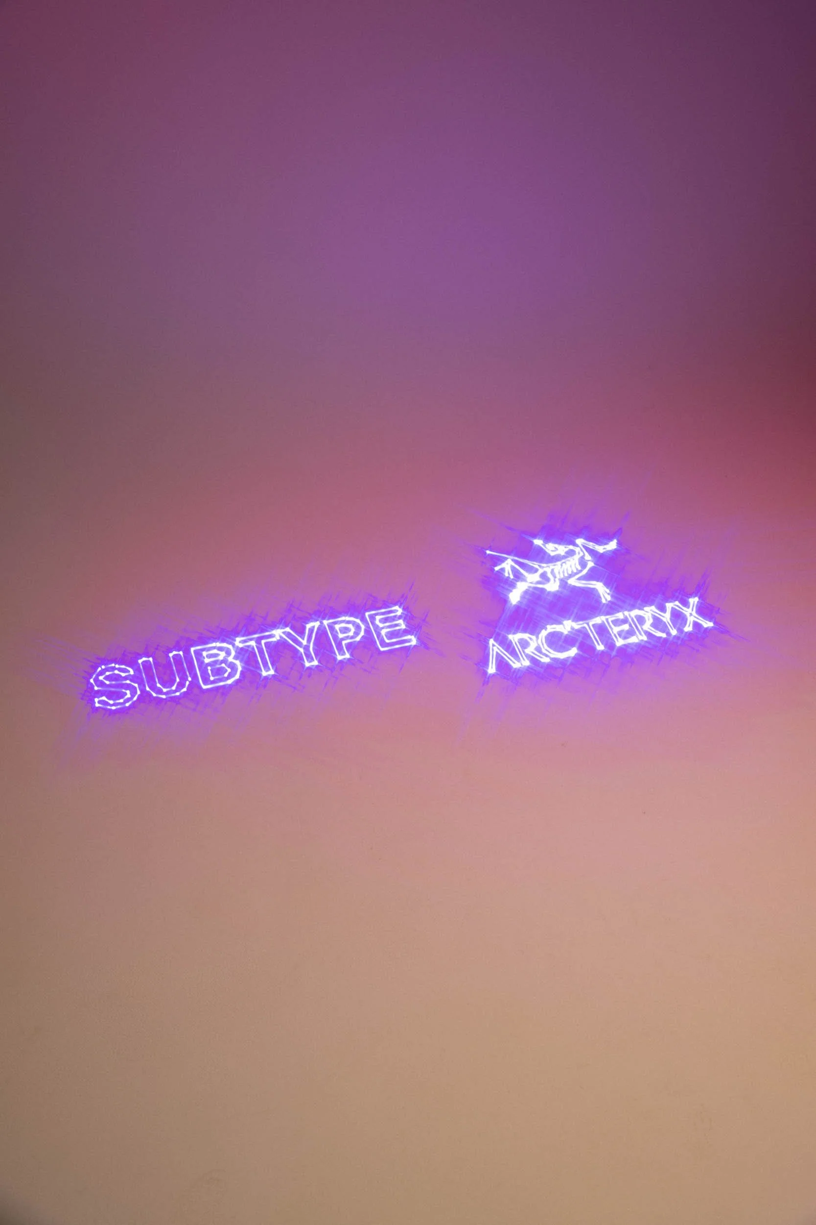SUBTYPE_ARCTERYX_JUNE_01.jpg