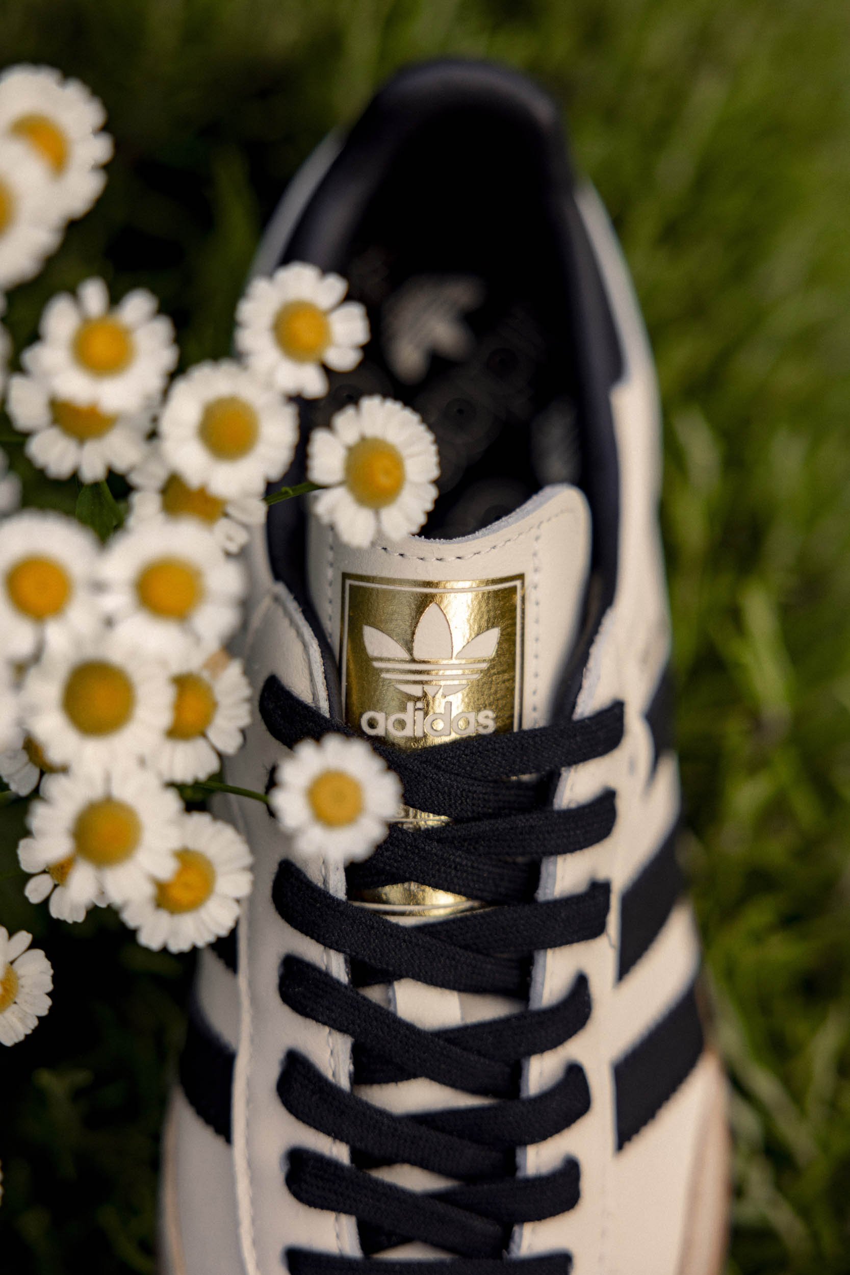Adidas Terrace 24 - Hype DC