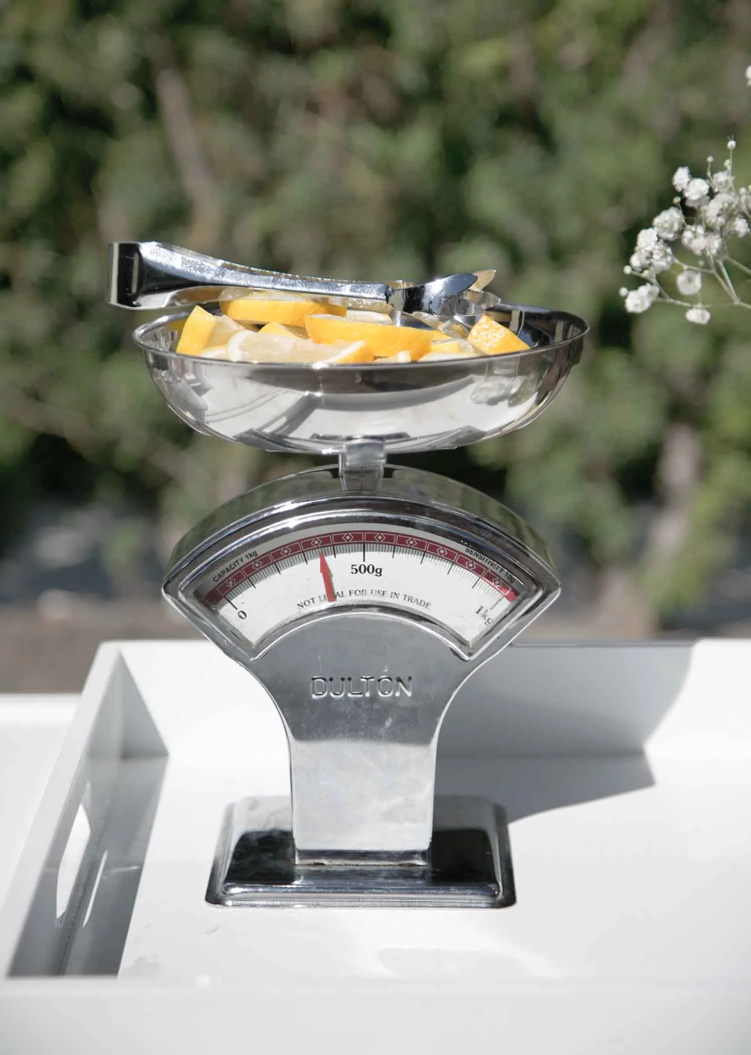 dulton kitchen scale