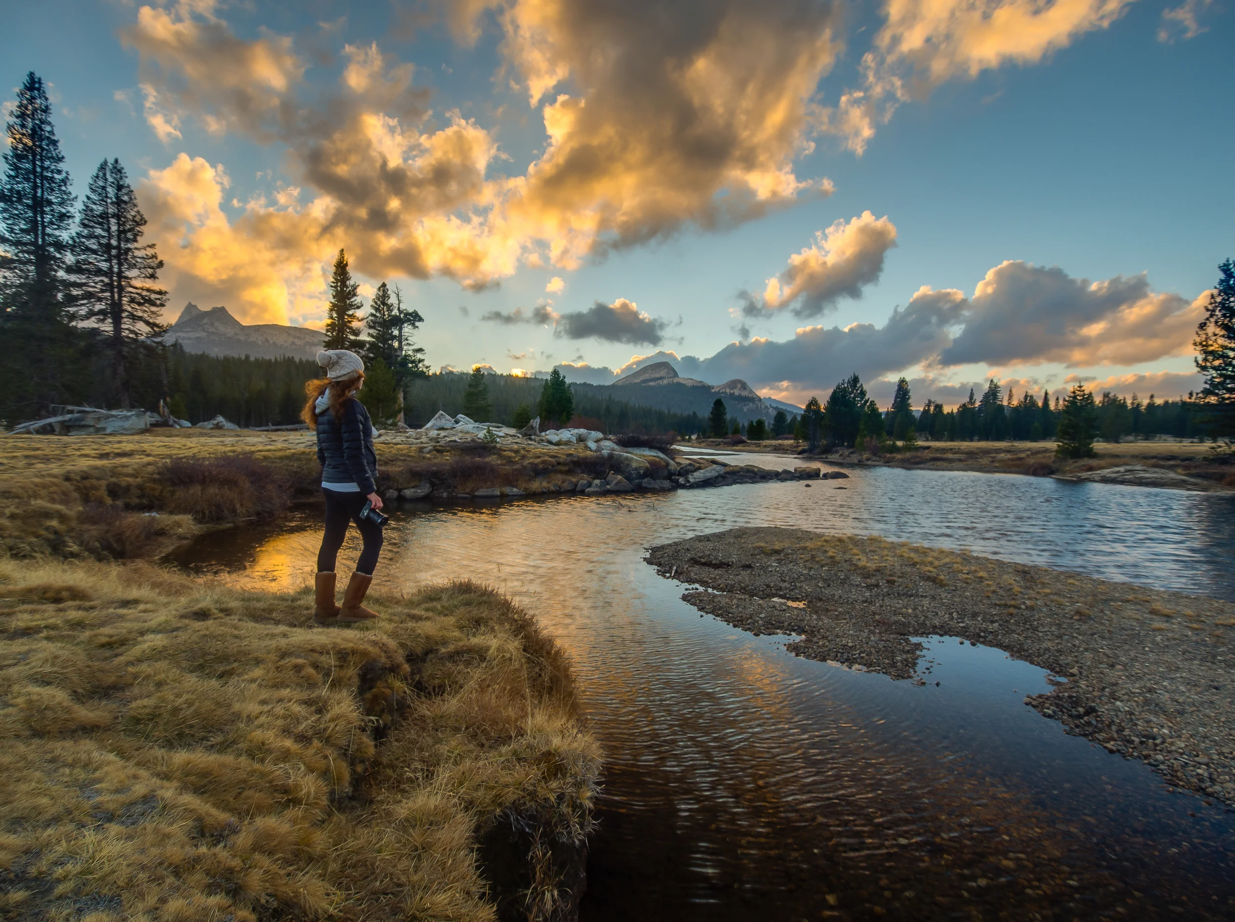 buku hdr meadow.jpg