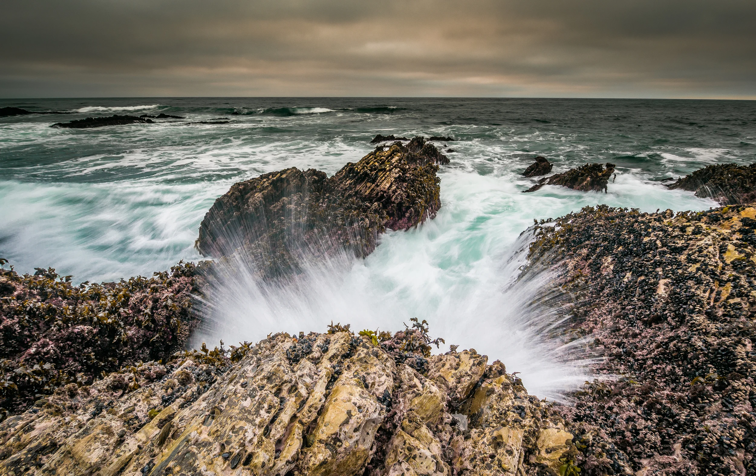 Waves.jpg