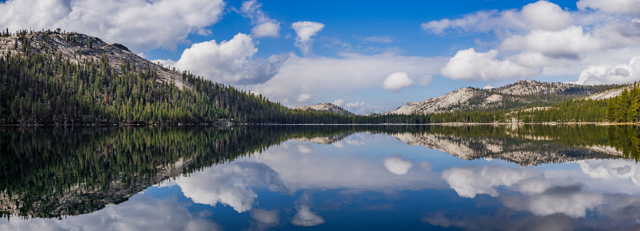 Unreal Reflection