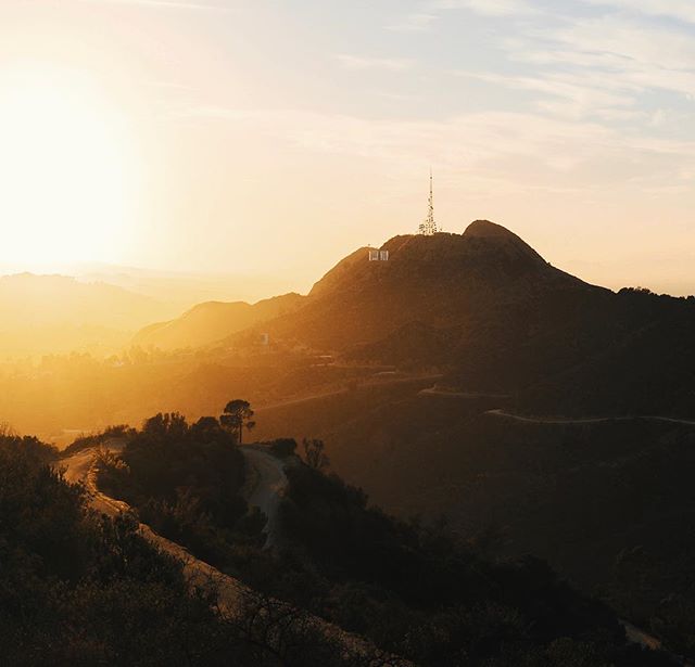 Shimmery light of LA #losangeles #ca