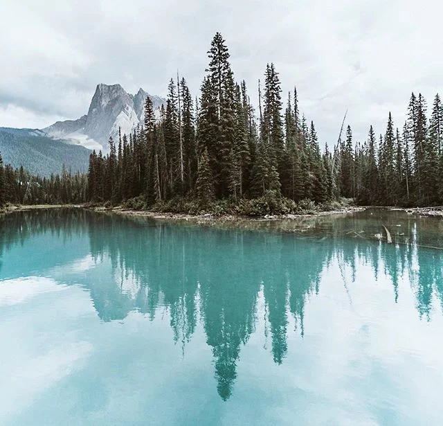 Hope you are having a fantastic Sunday🙋🏼&zwj;♂️