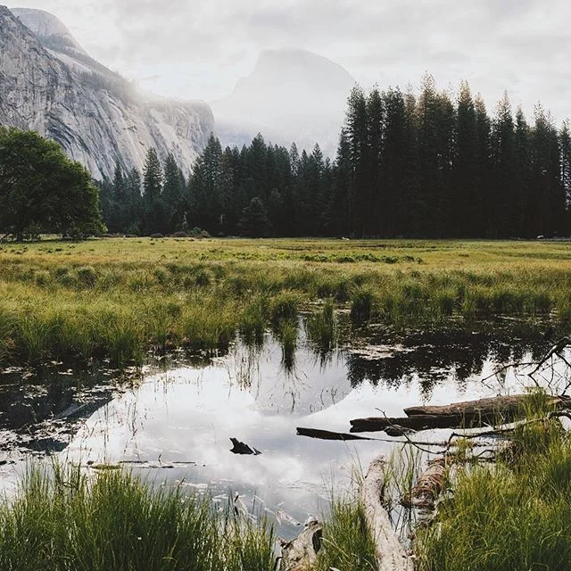 Sunrise in Yosemite #yosemite #yosemitenationalpark