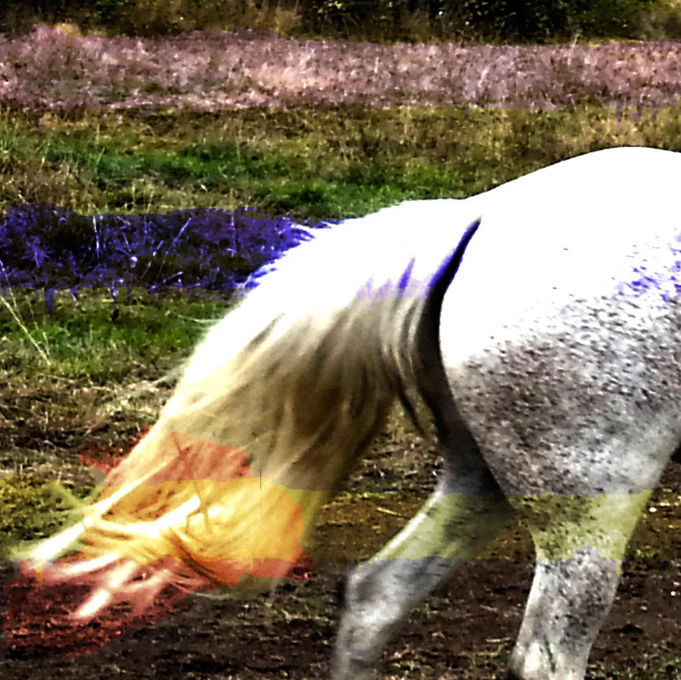 Welcome to the Johnny Horton Remix