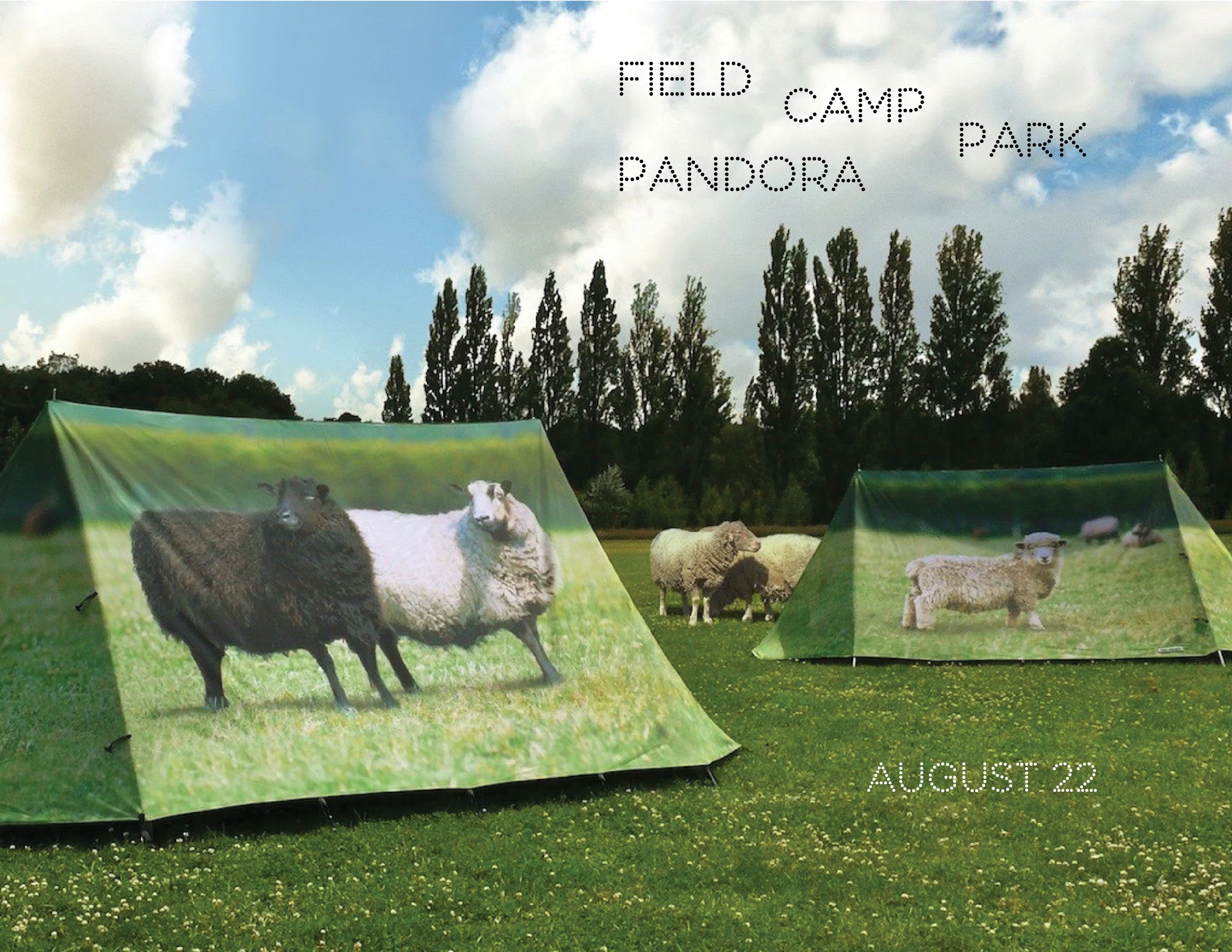 Field Camp in Pandora Park
