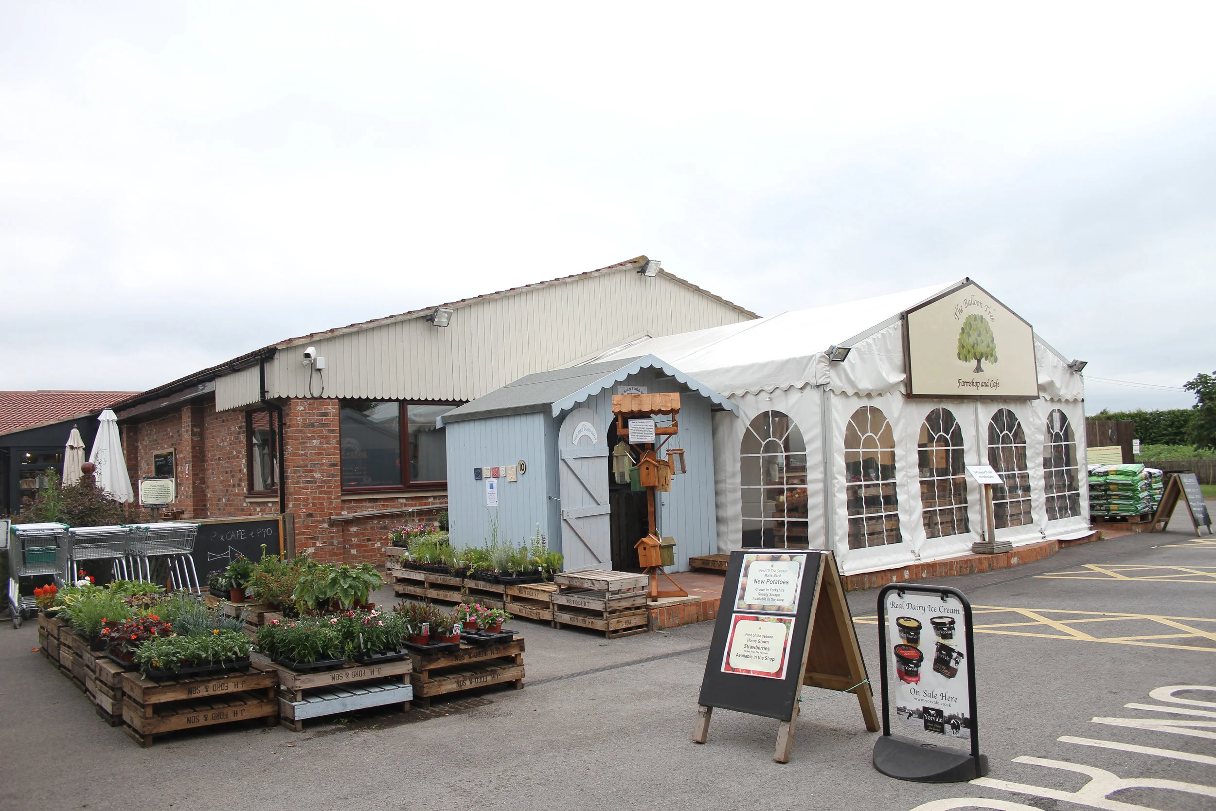 The Balloon Tree Exterior -3.jpg